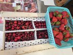Вселенная (posyolok Priladozhskoye, Tsentralnaya ulitsa, 48), grocery