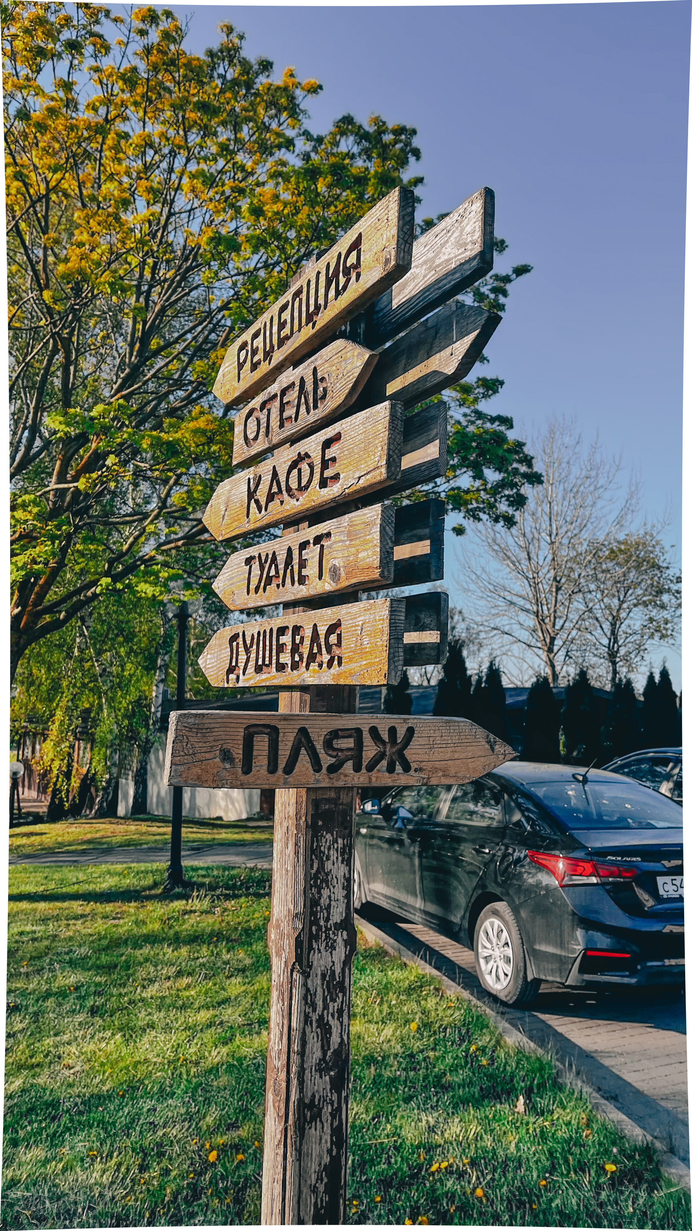 Фото 1000 Звёзд