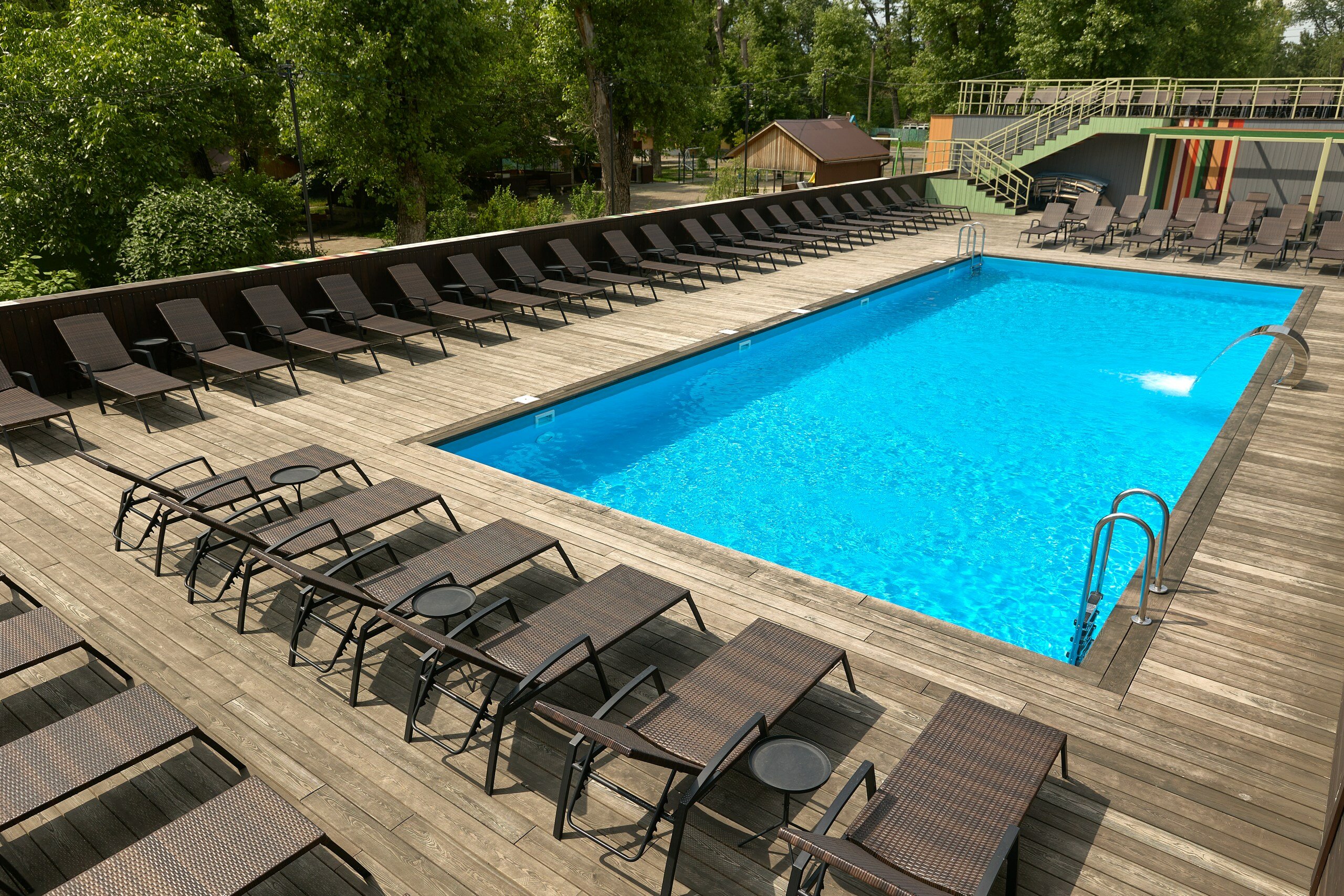 Фото Iva тенистая