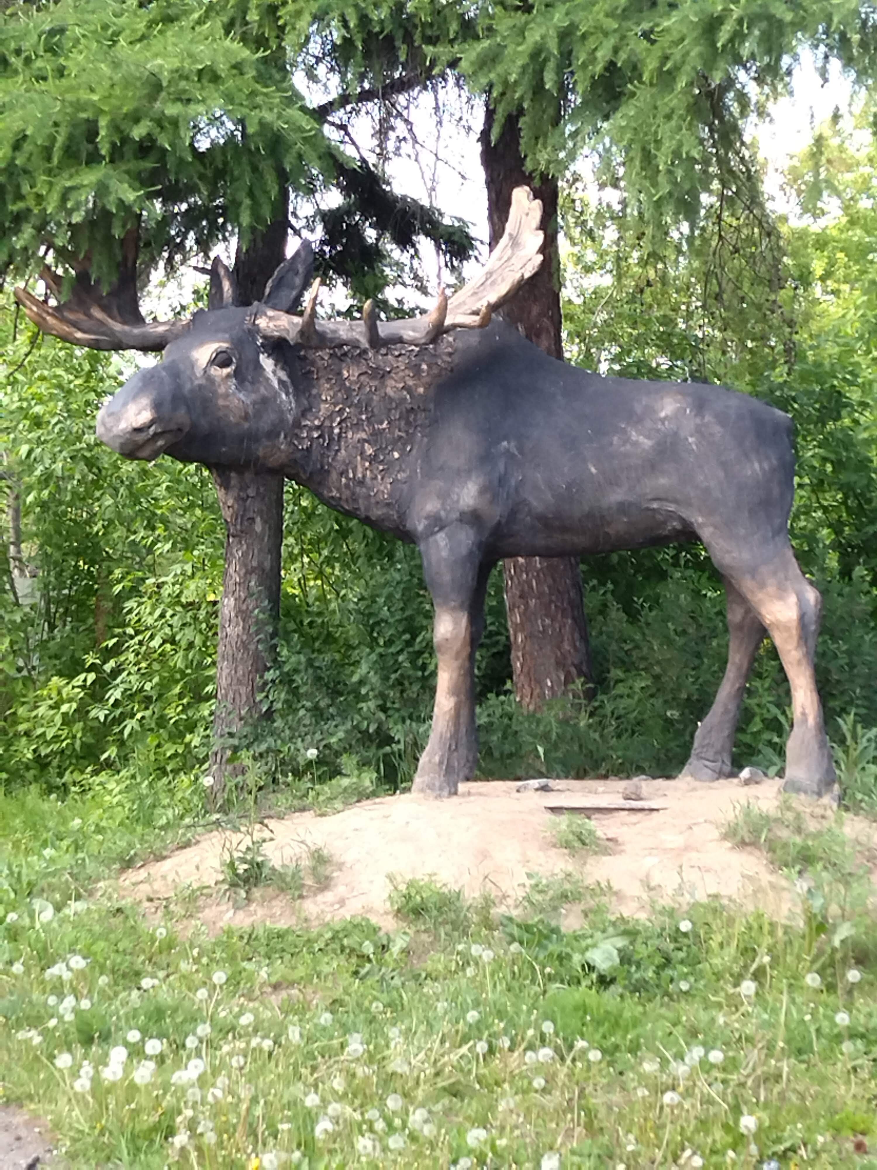 Фото Усолье