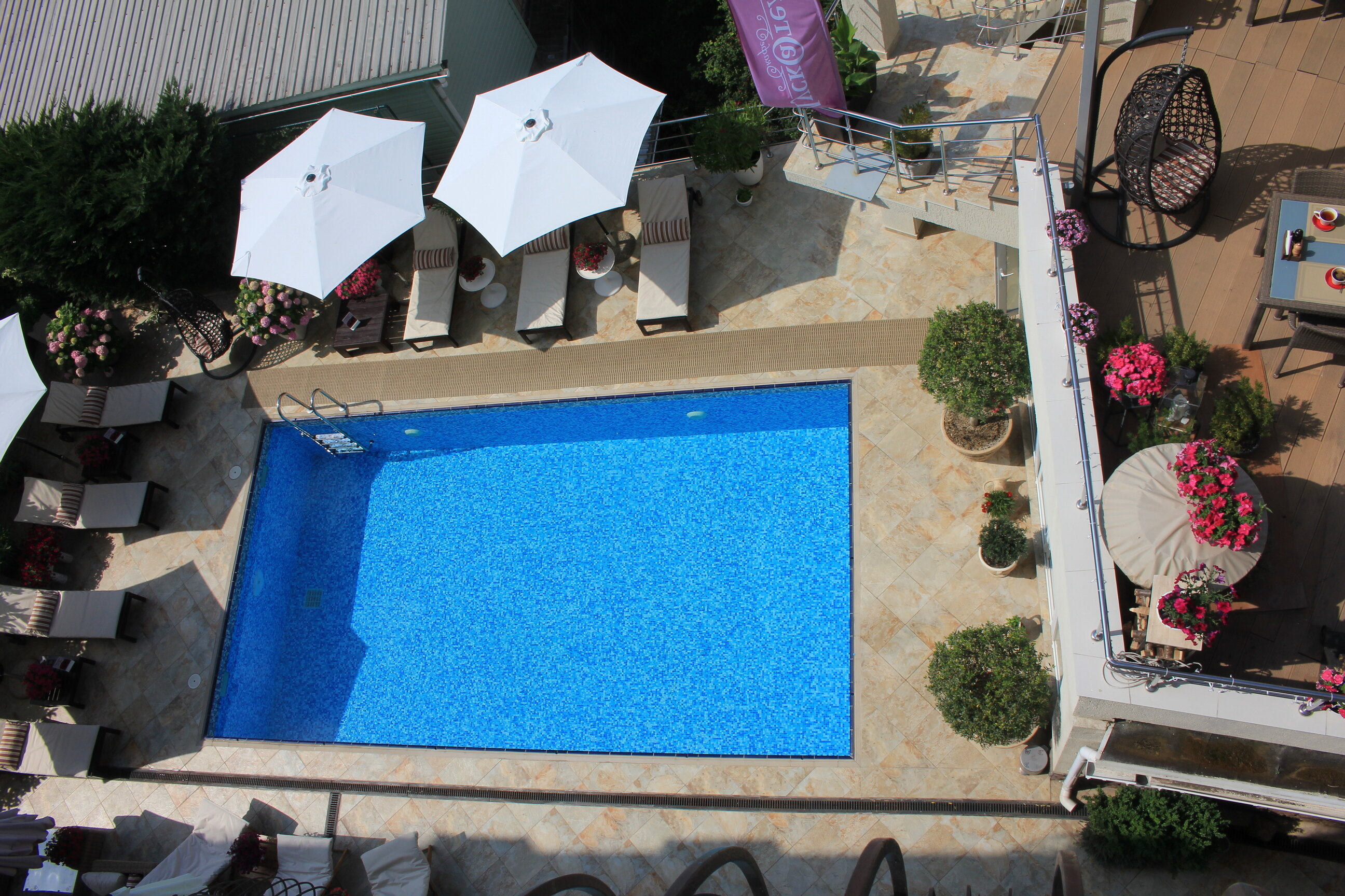 Фото Мускатель