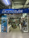 Matil'da (Karla Marksa Avenue, 210), pet shop