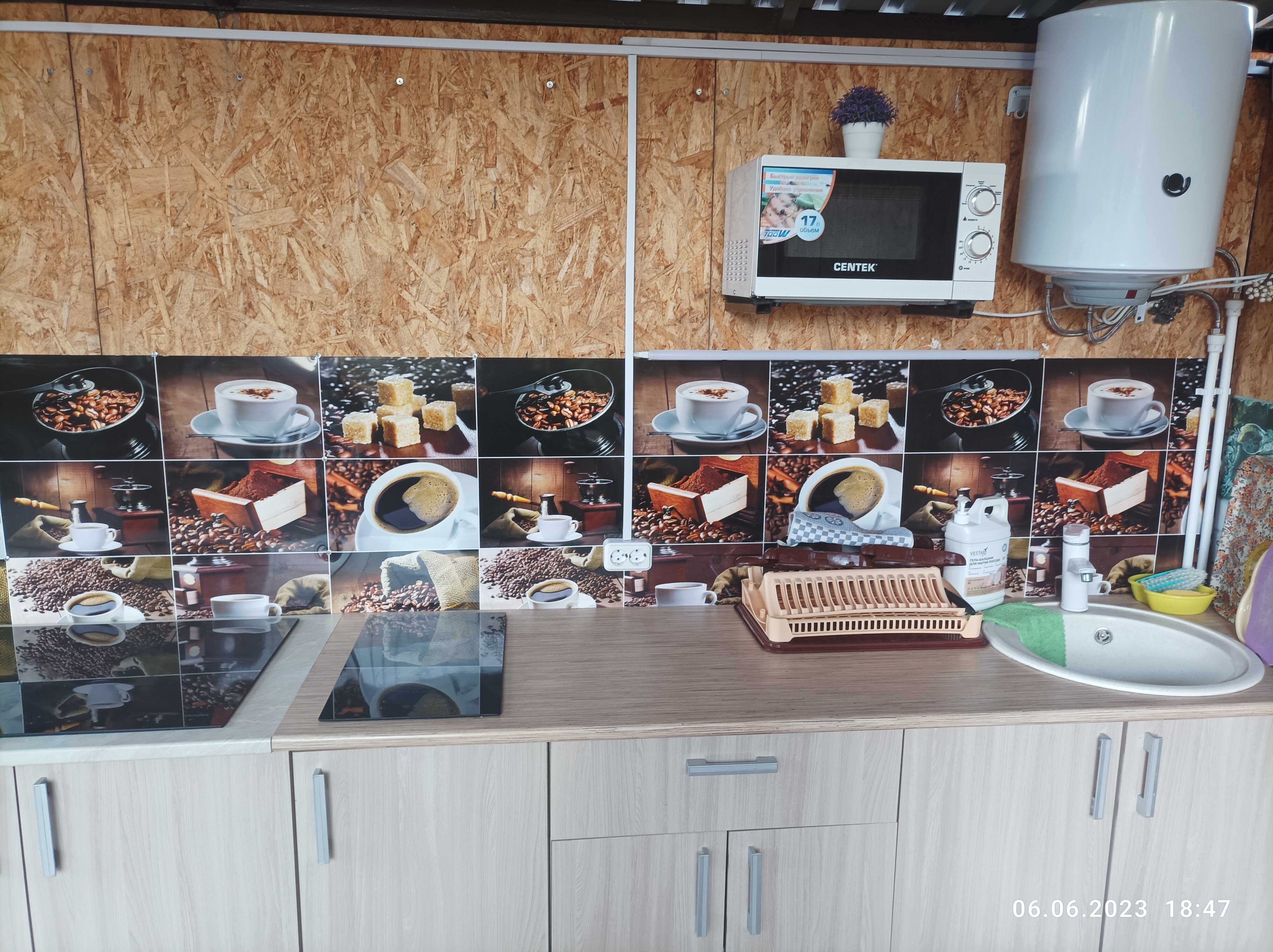 Фото Ковчег