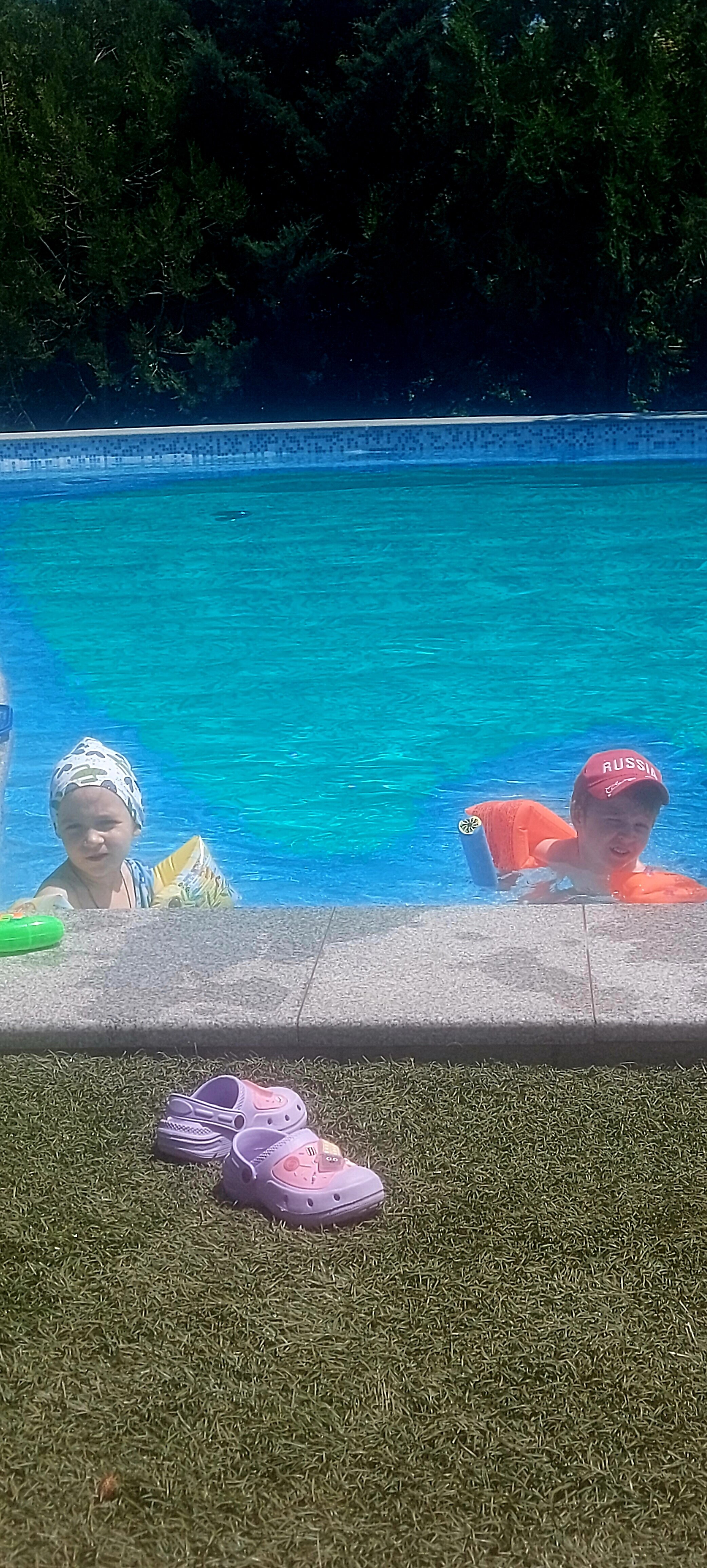 Фото Кипарис