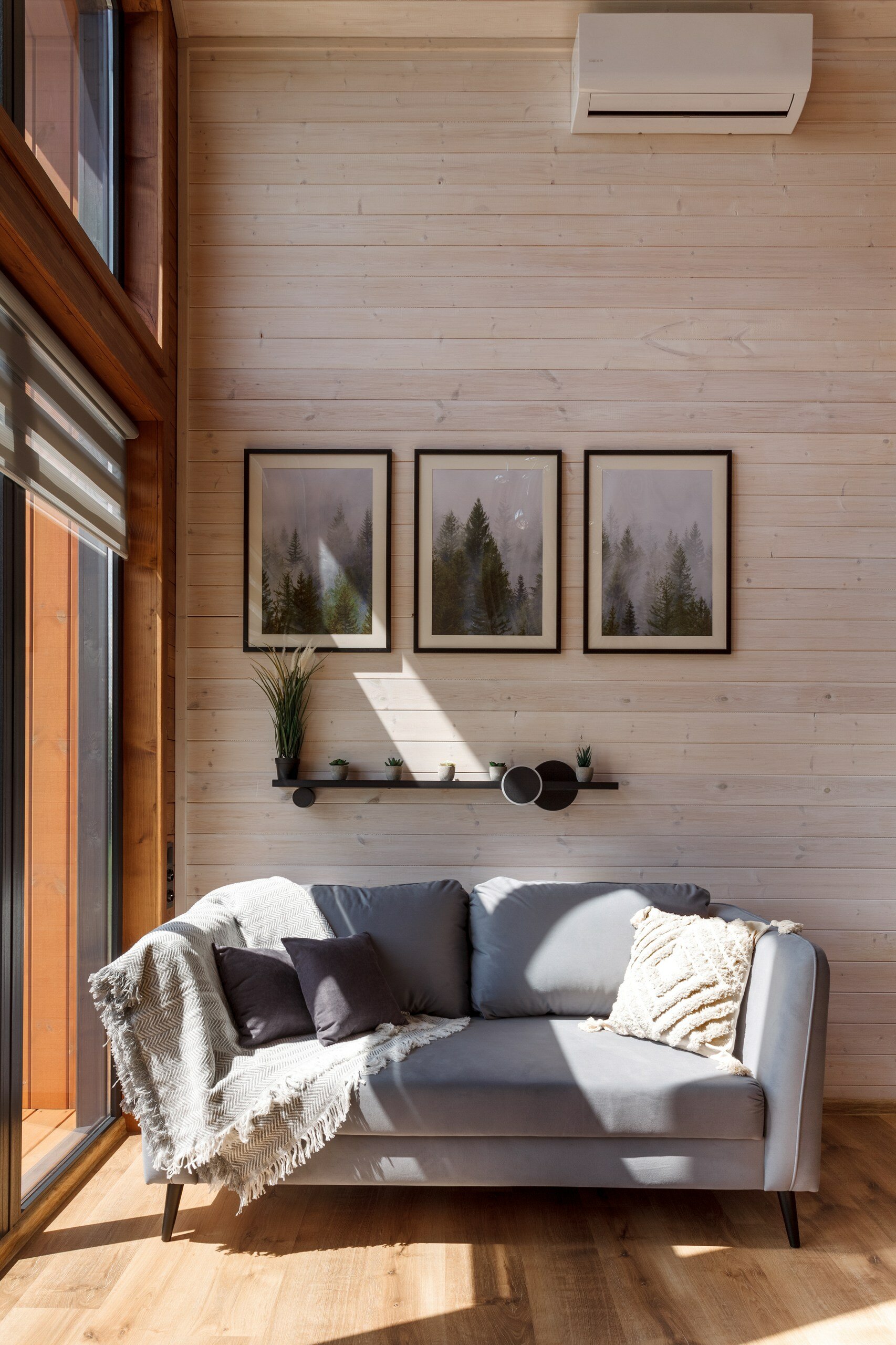 Фото 8 Сосен