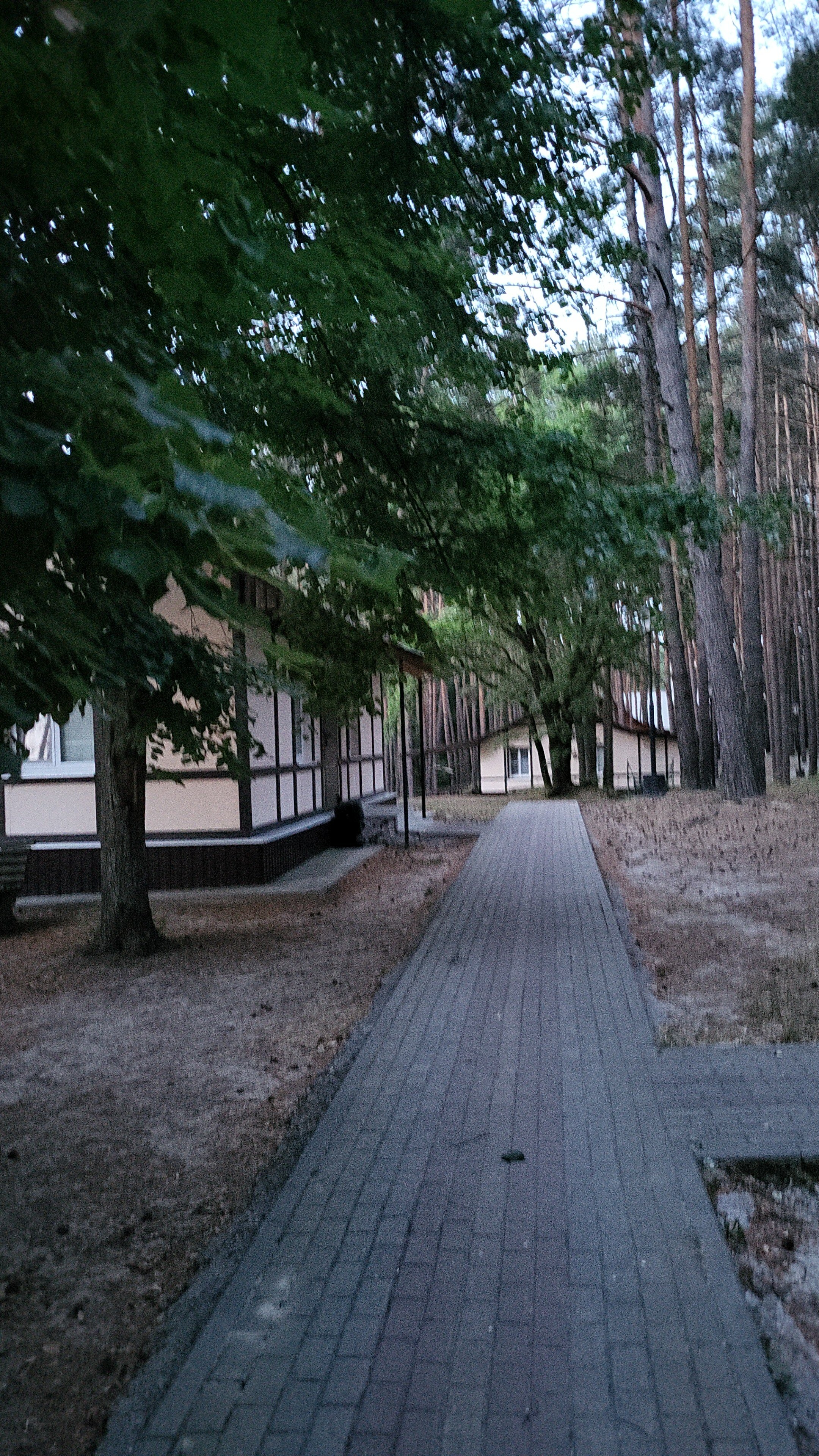 Фото Рахоль