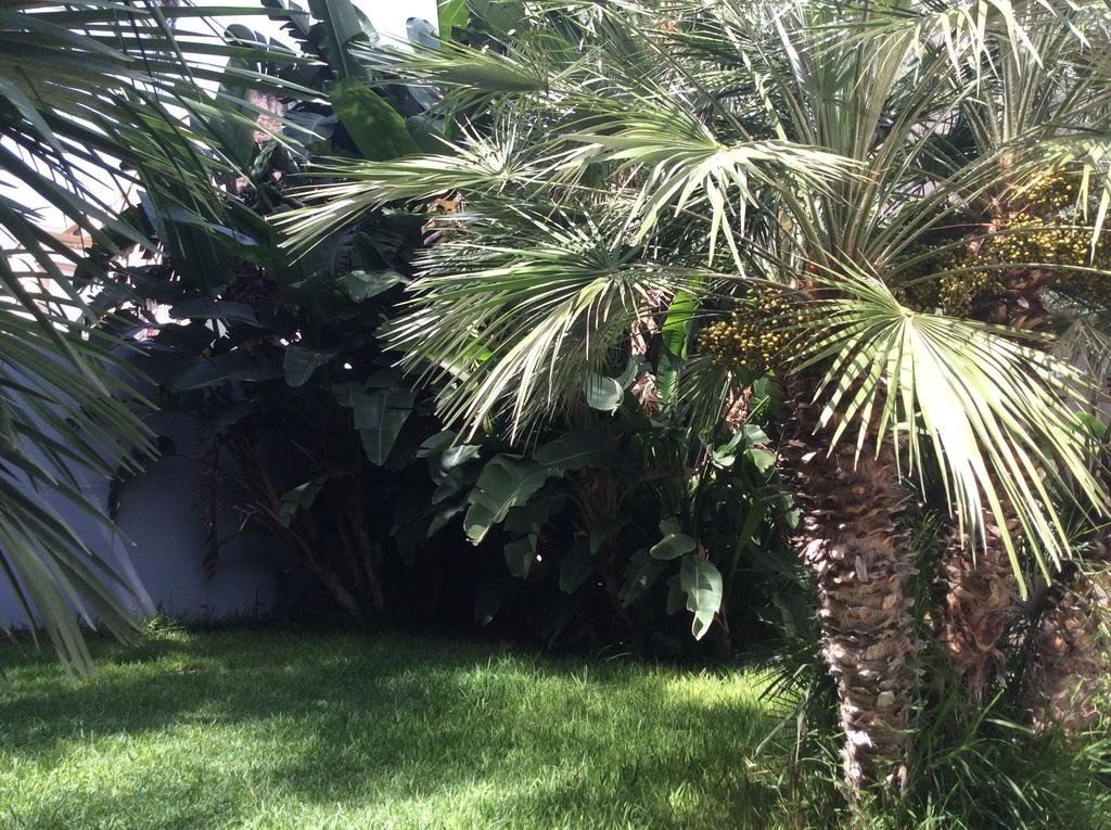 Фото Ucciardhome Hotel