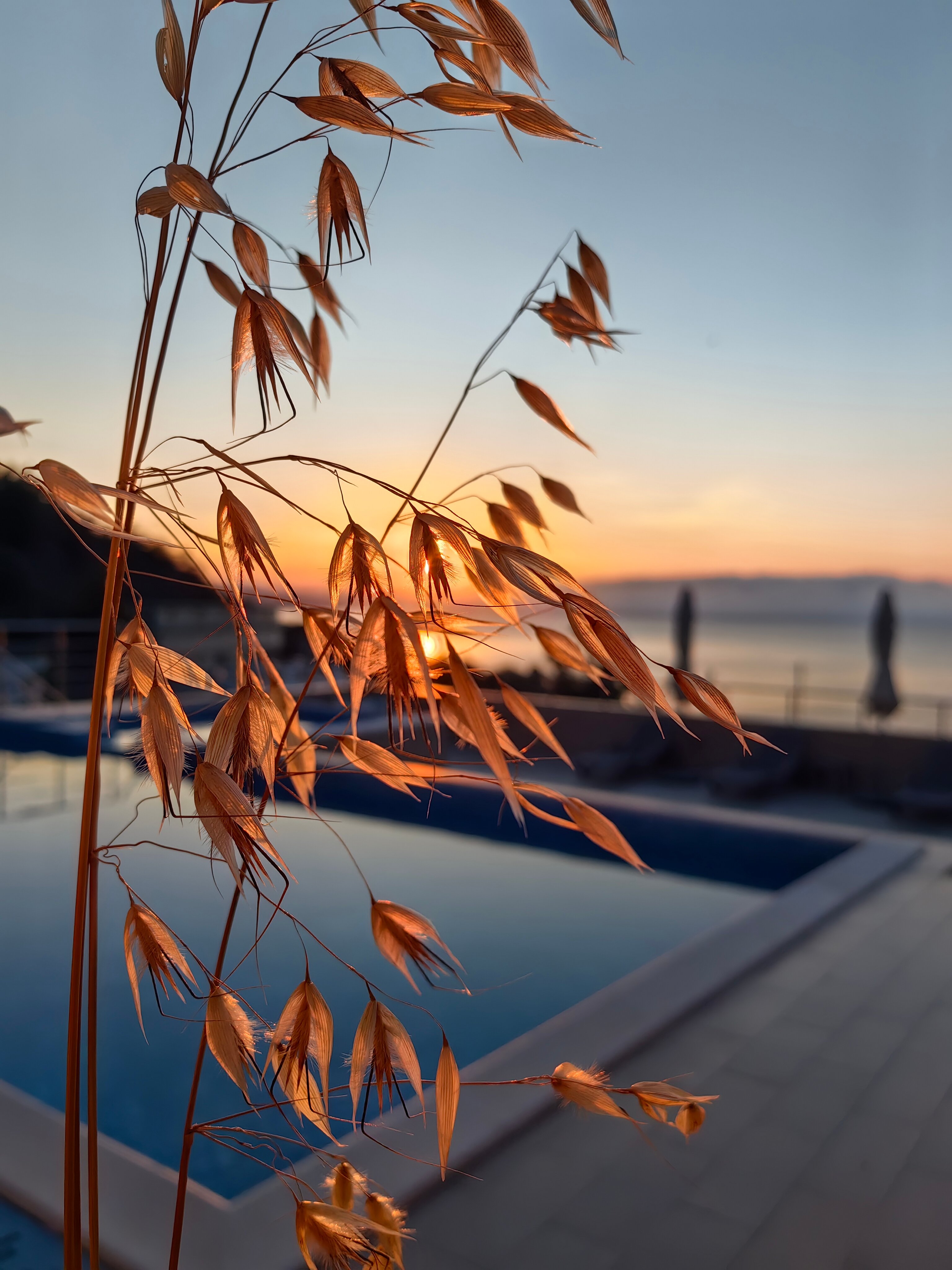 Фото Bella Safia