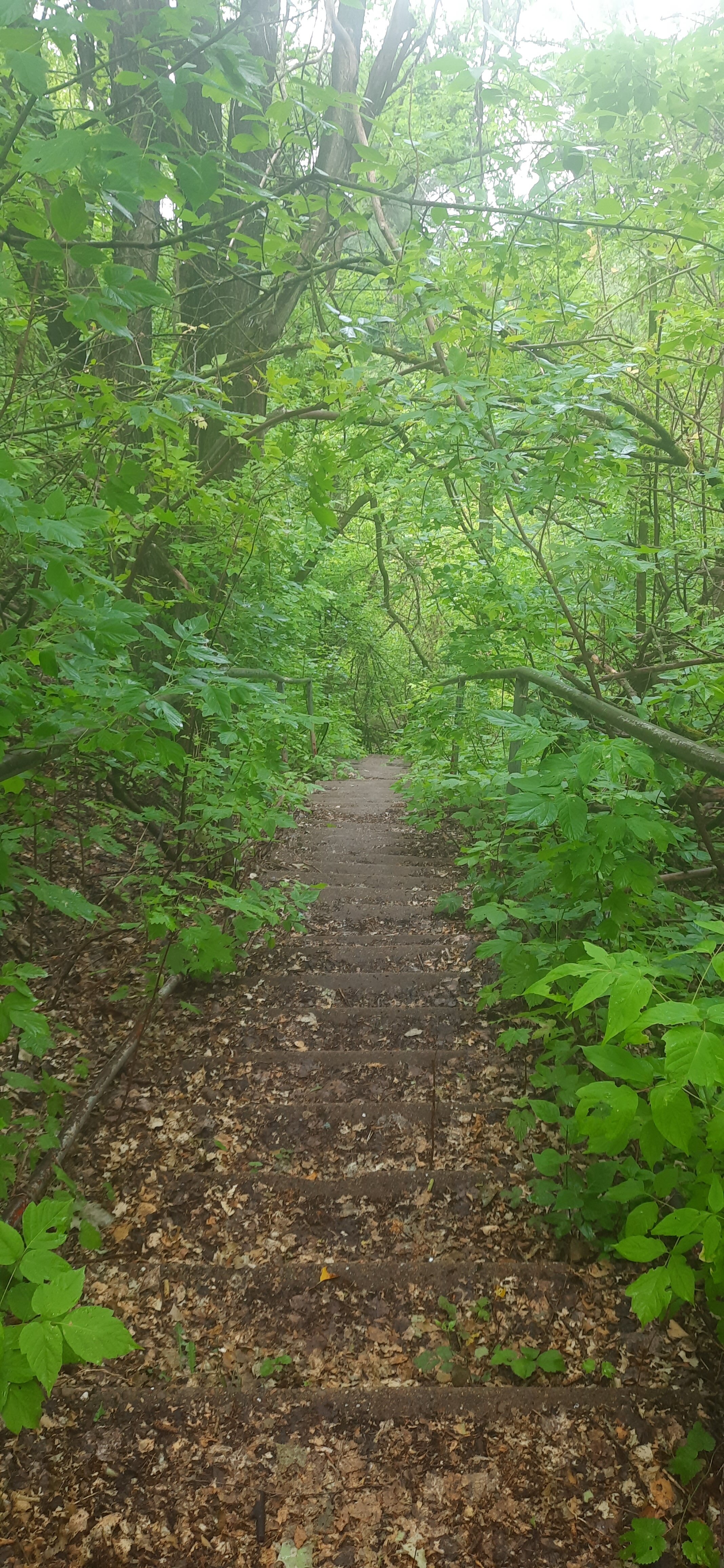 Фото База отдыха Шиханы