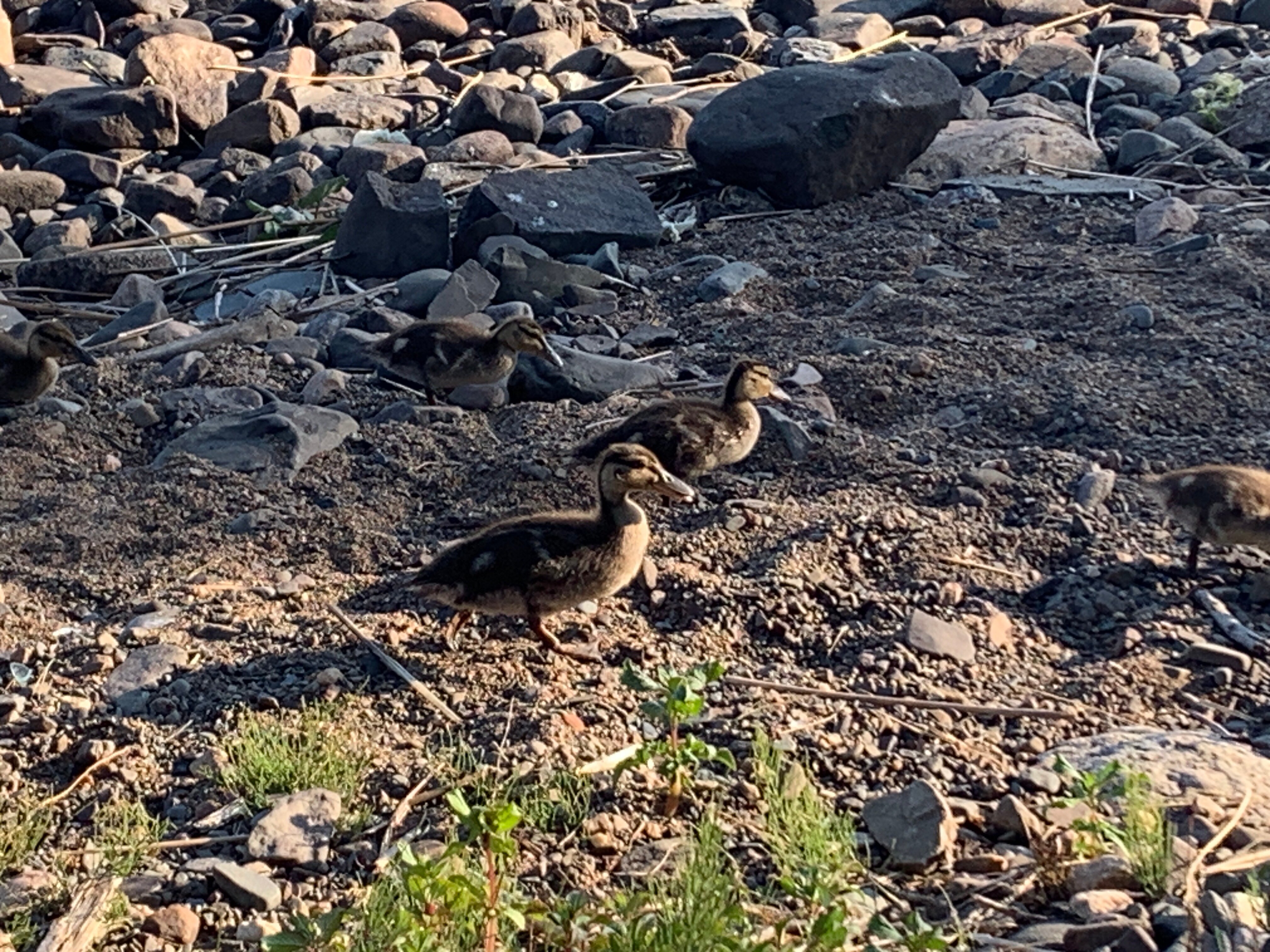 Фото Талео Хоум