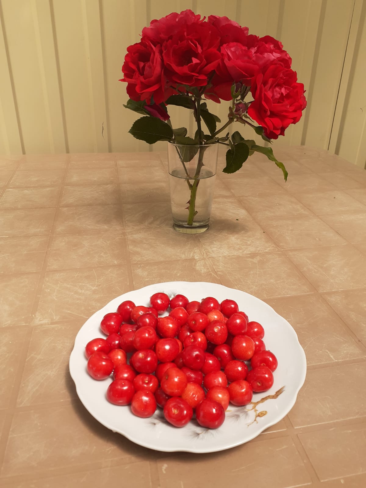 Фото Приазов