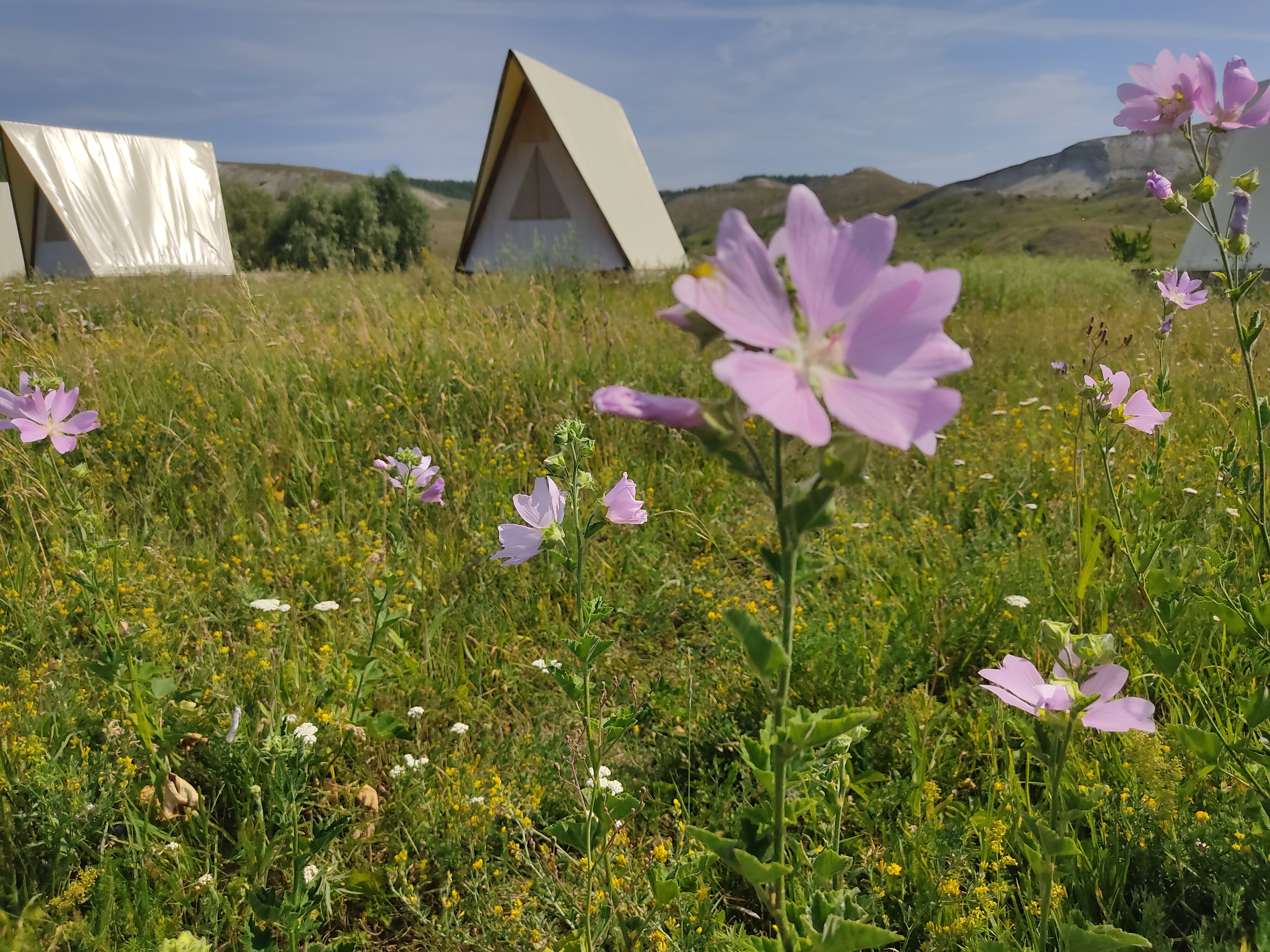 Фото Альфа Глэмпинг