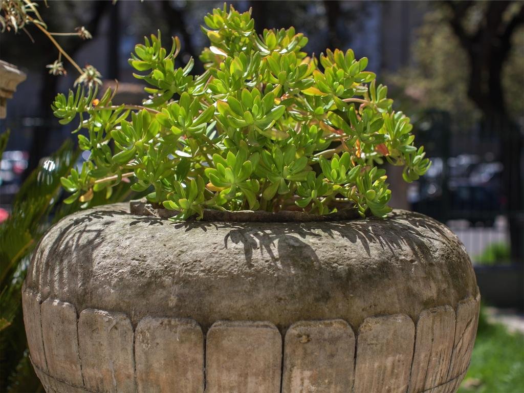 Фото Casa Q Bed & Breakfast