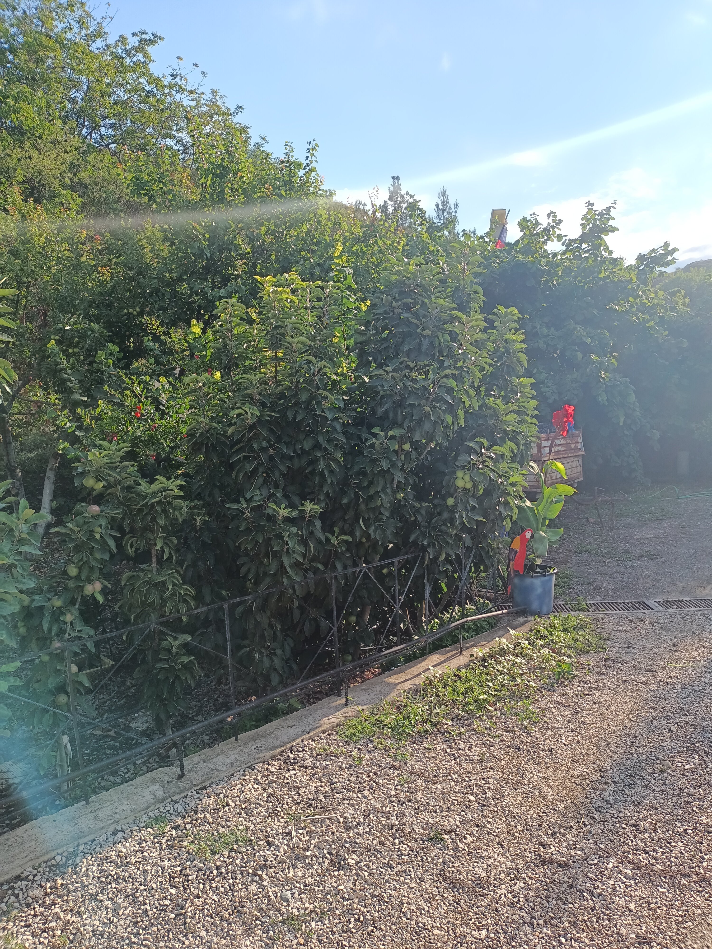 Фото Надежда