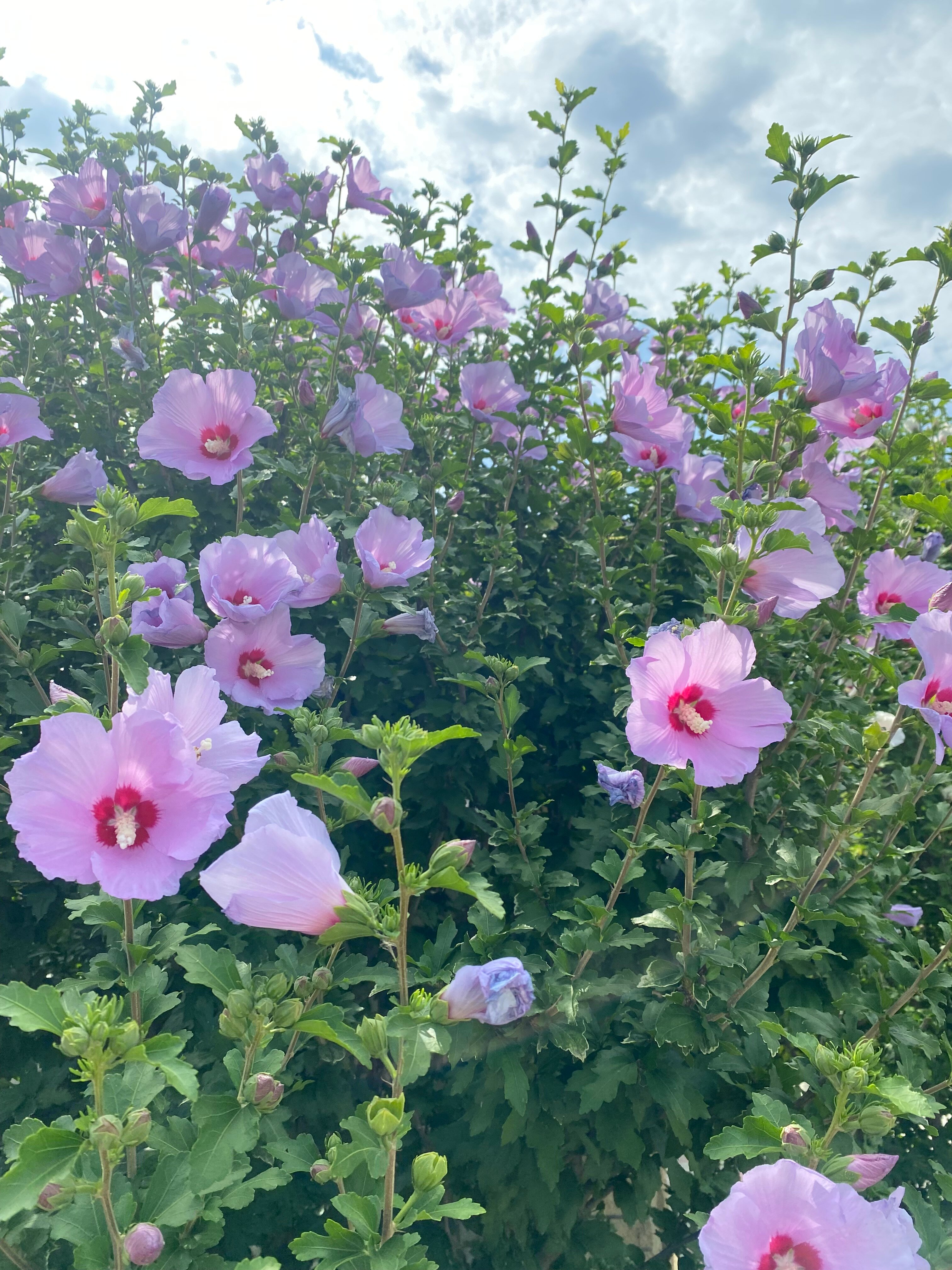 Фото В гостях у сказки