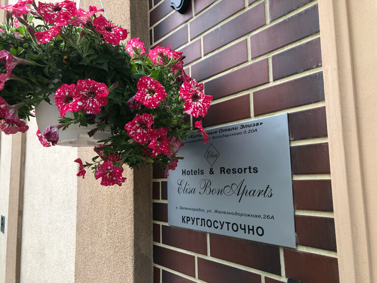 Фото Элиза Бонапарт