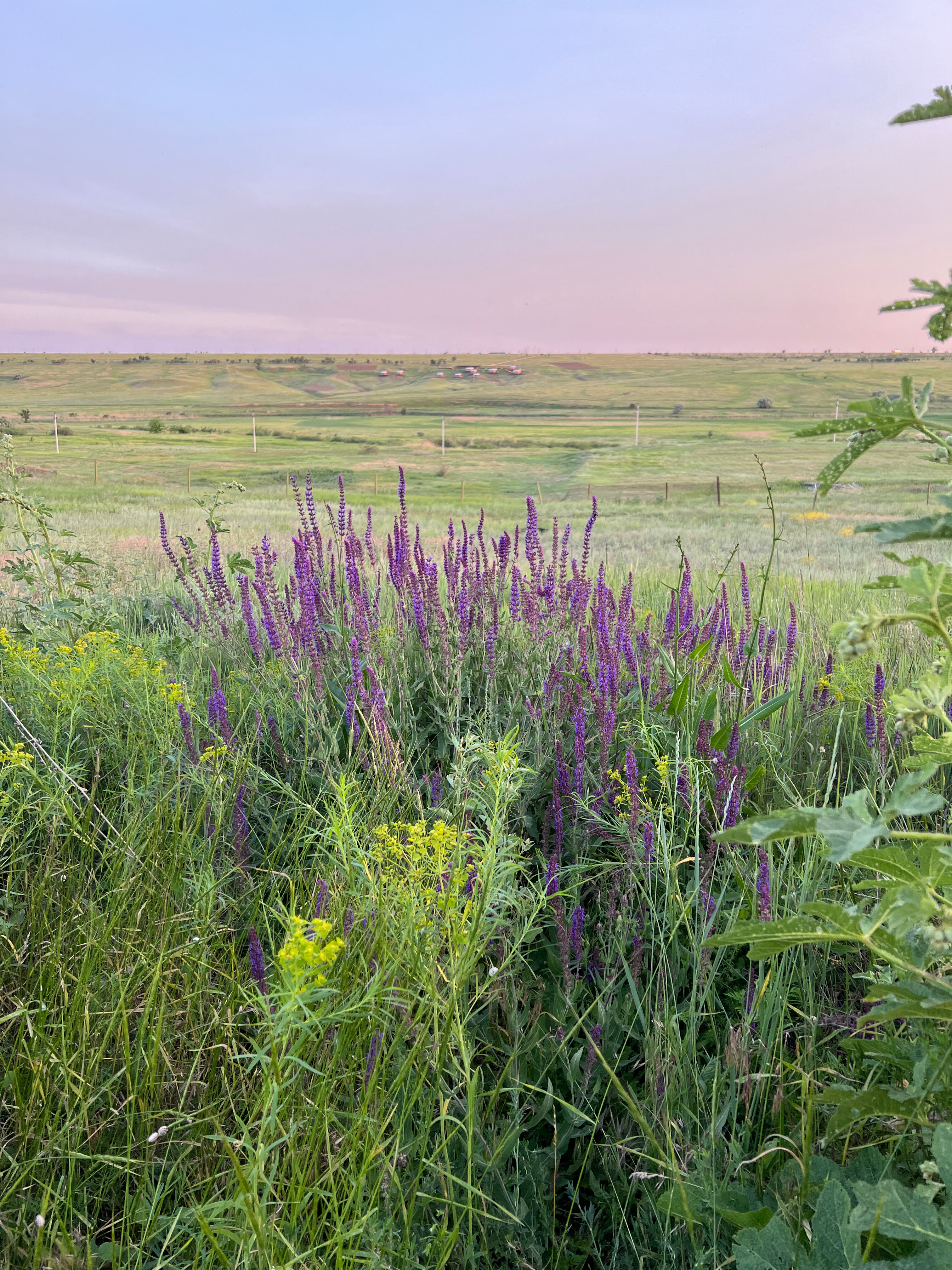 Фото Марко Поло