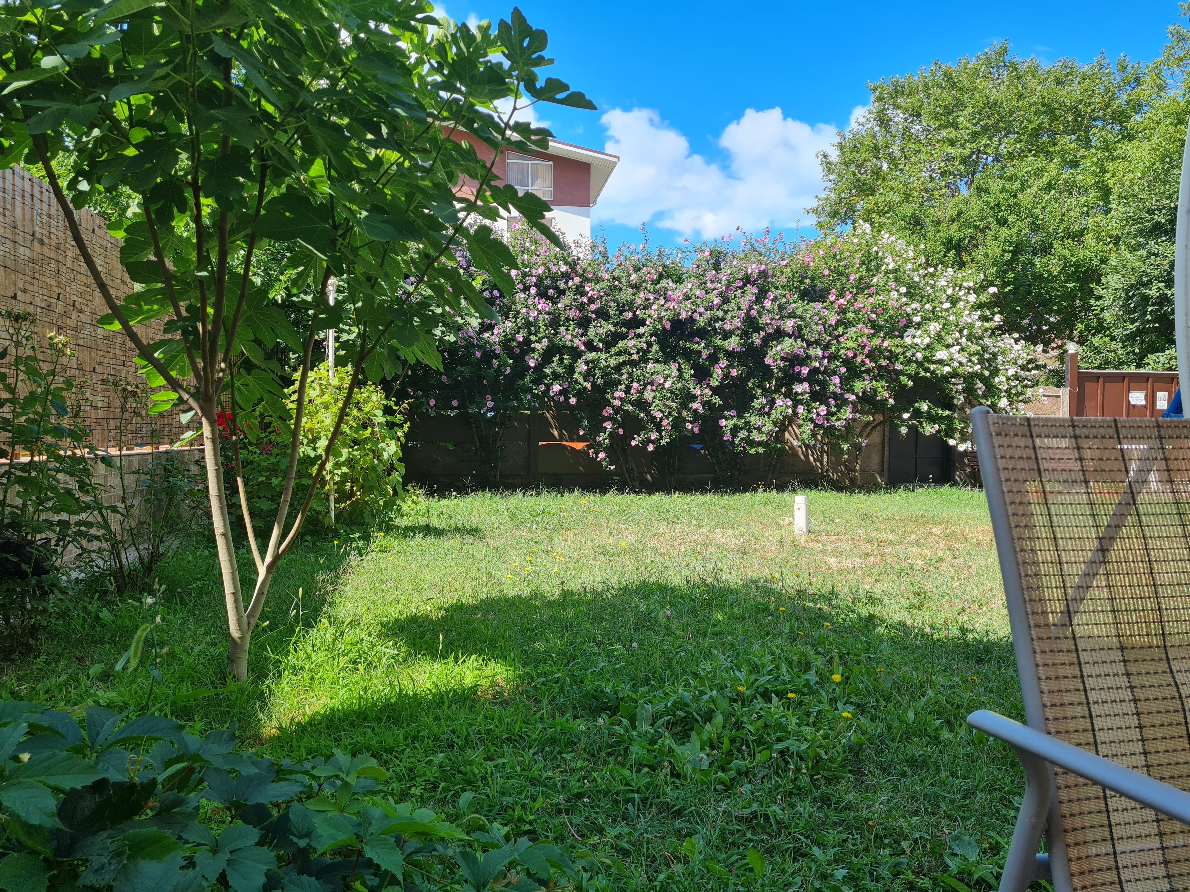 Фото Посейдон Палас