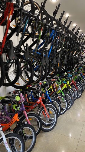 VeloProf 5