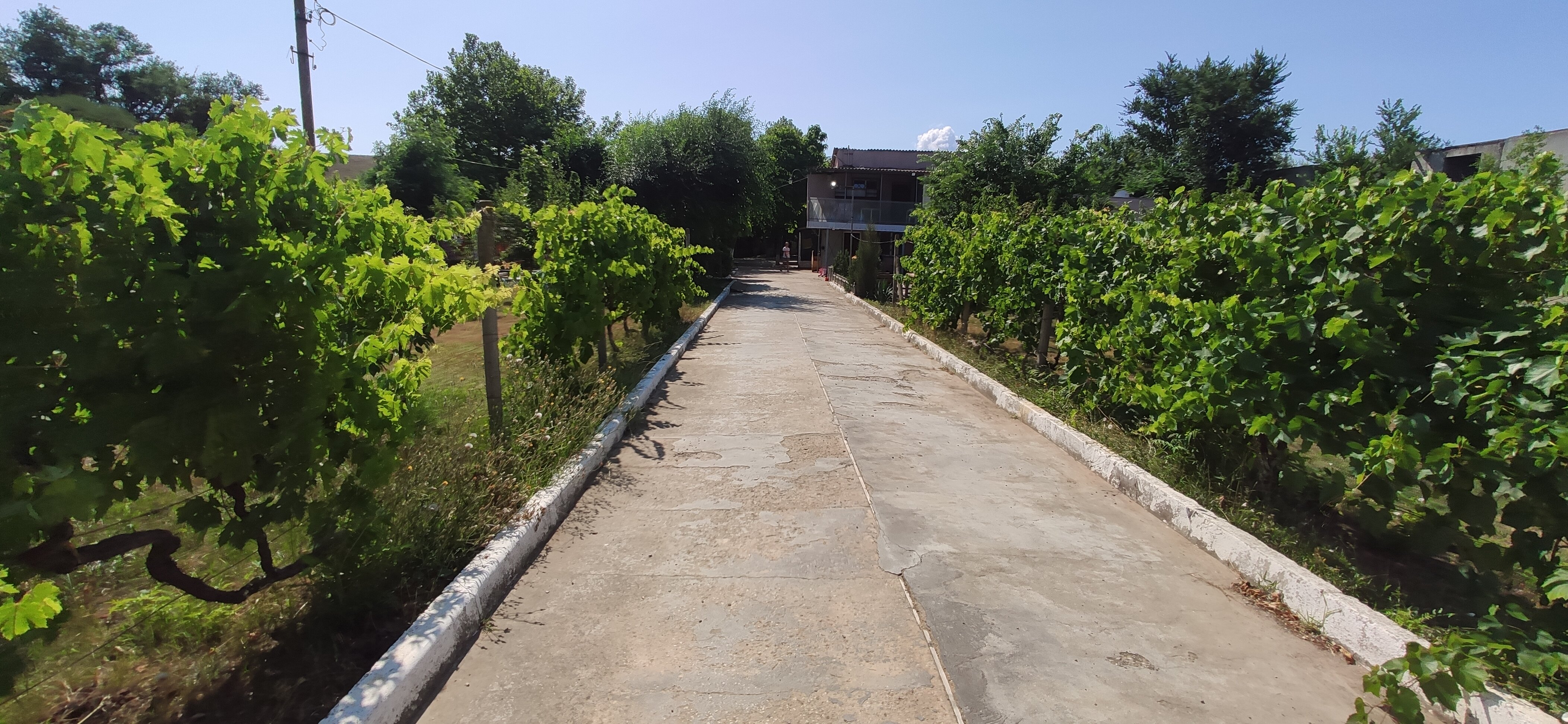 Фото Family House Midas