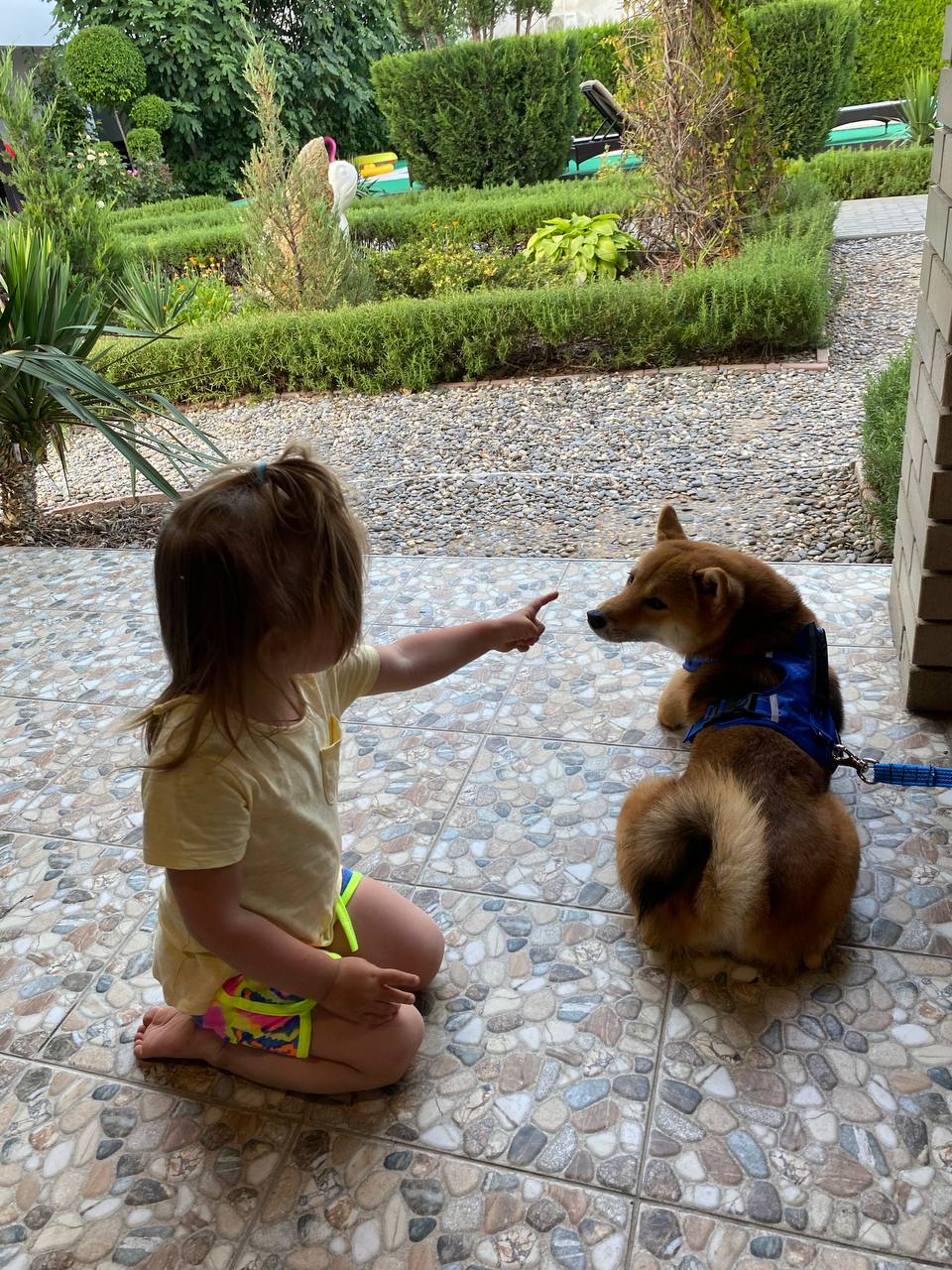 Фото Гостевой дом Гармония