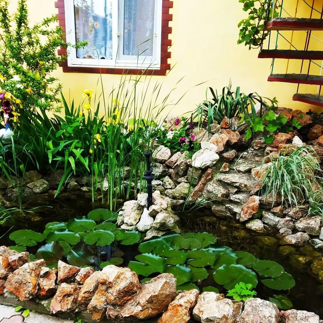 Фото отеля 2