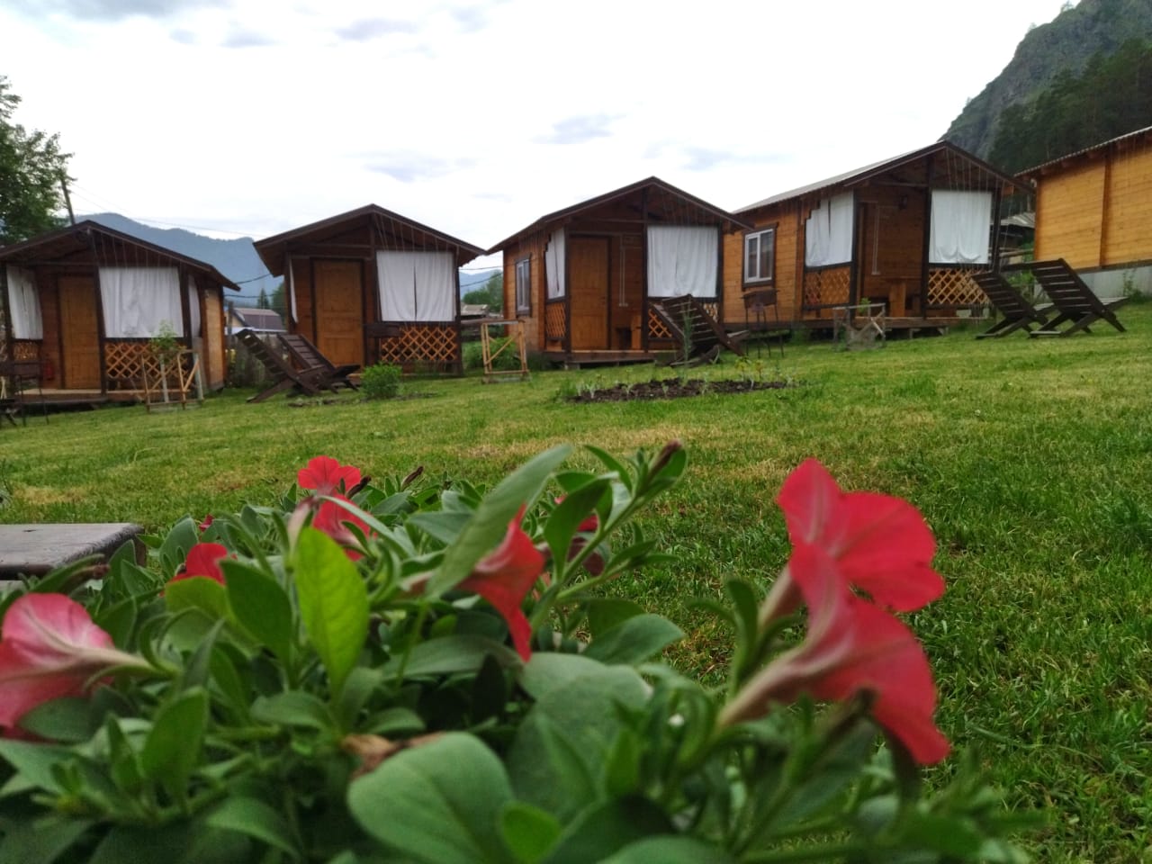 Фото Гостевая усадьба