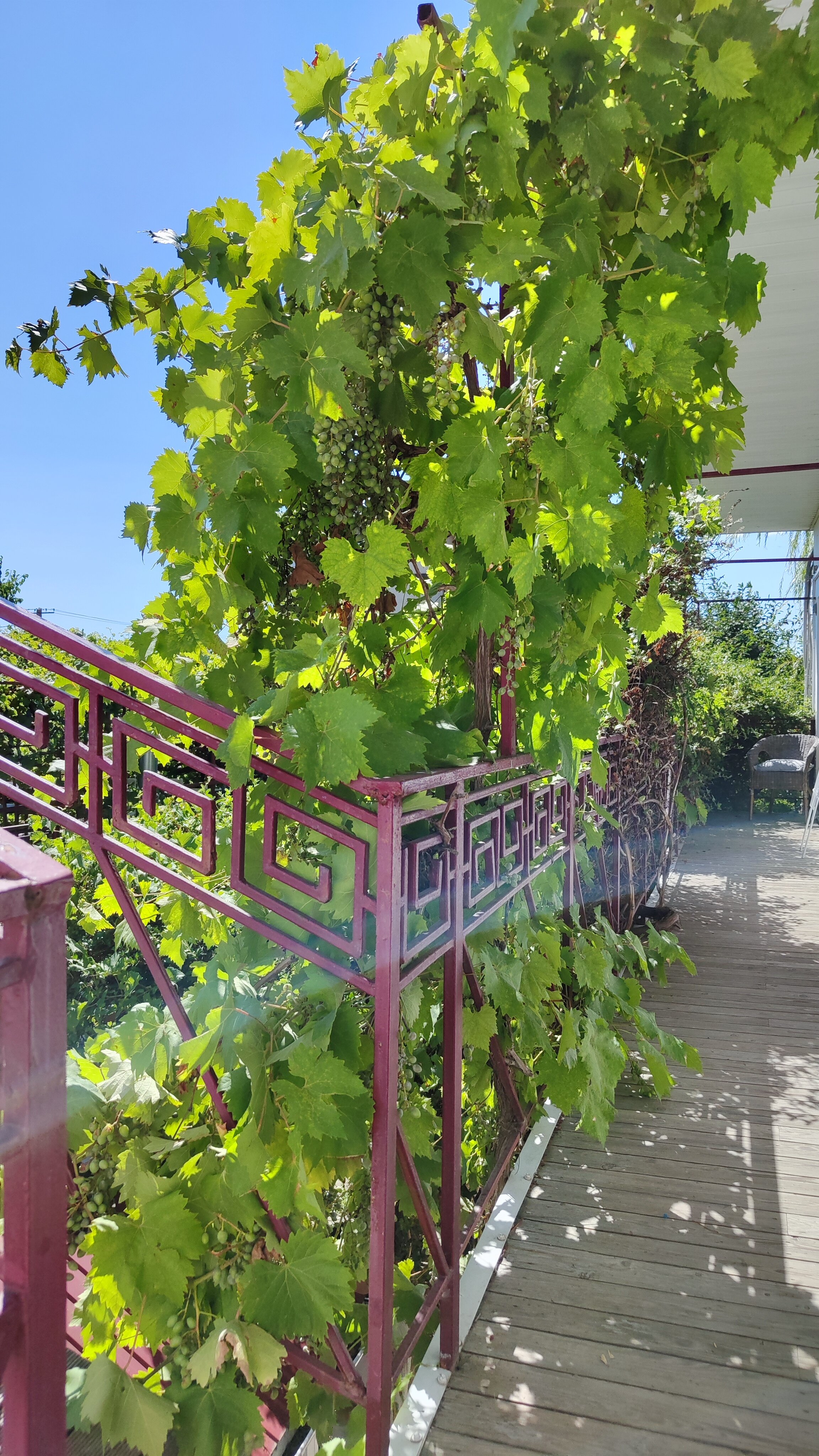 Фото Blaga House design dacha