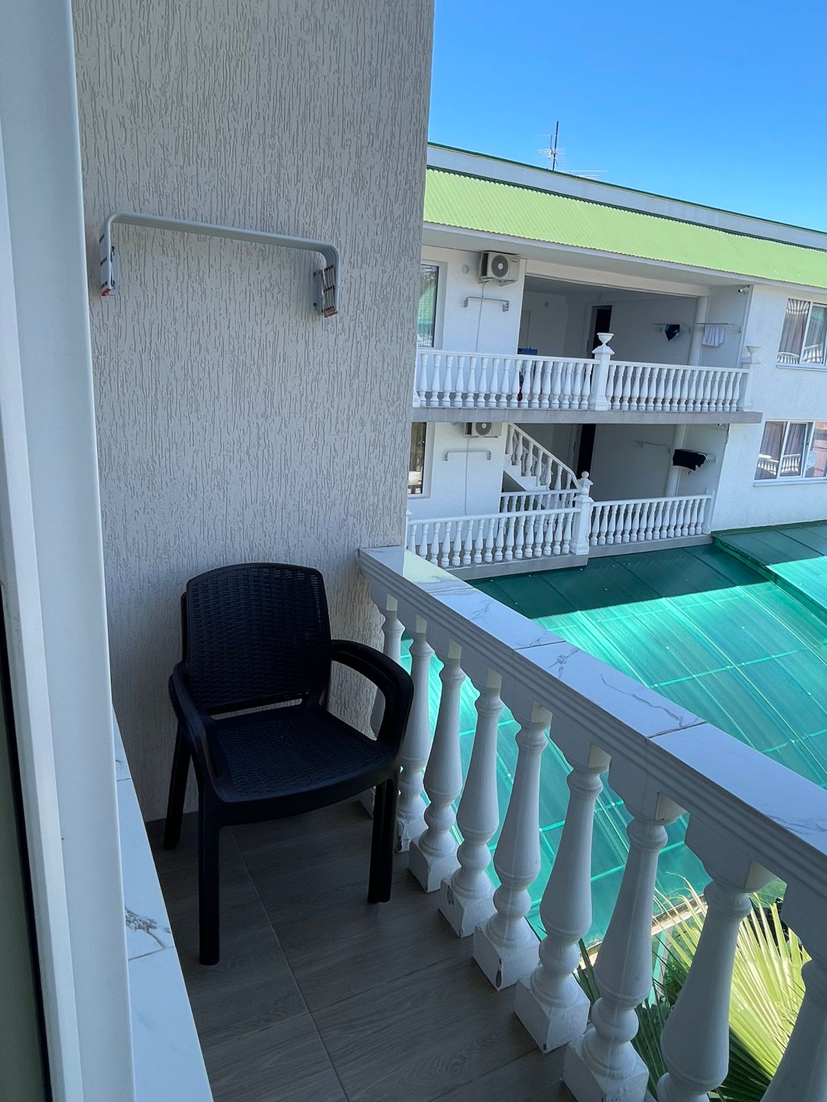 Фото Зелёный попугай