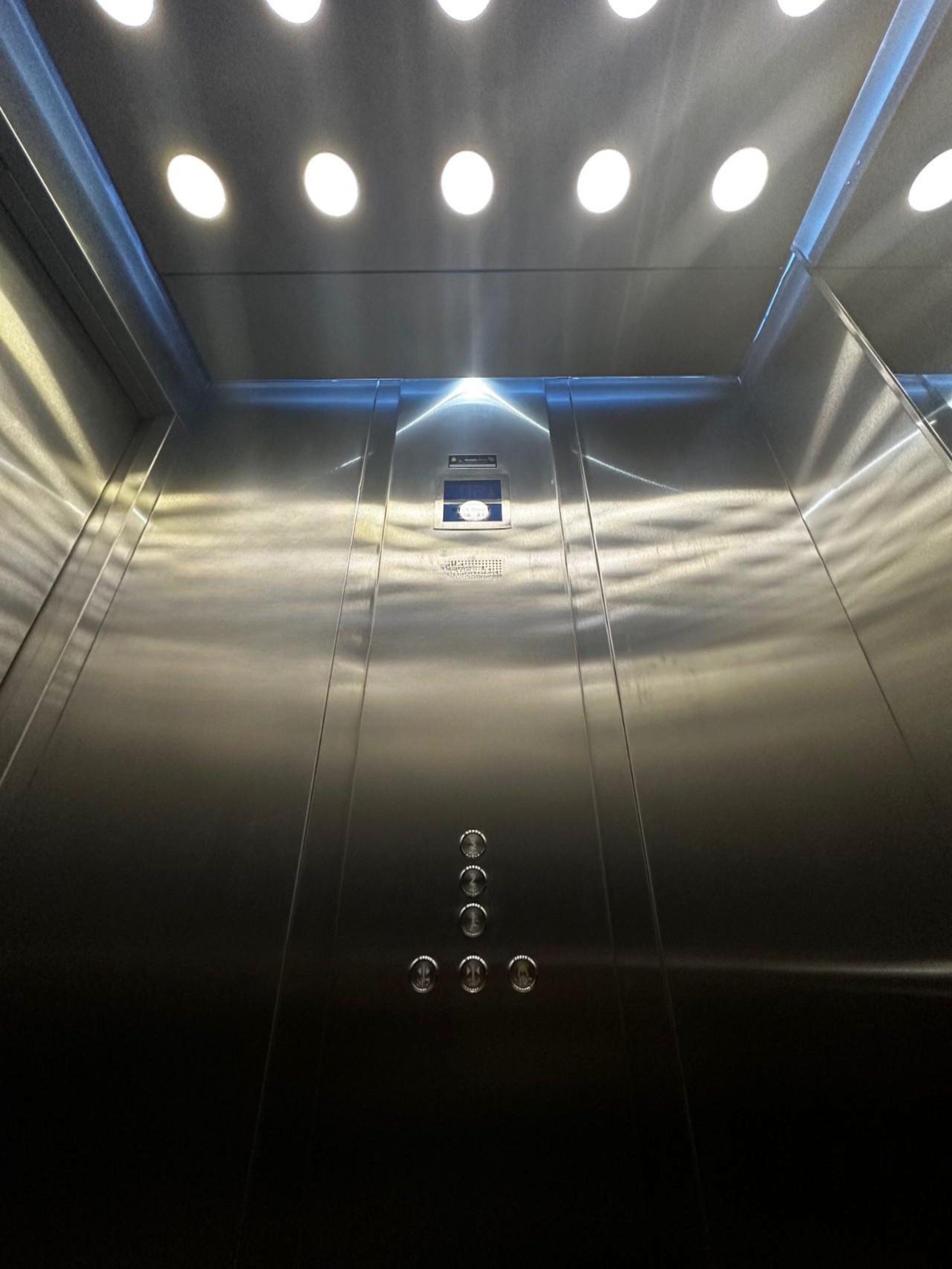 Фото Сканди