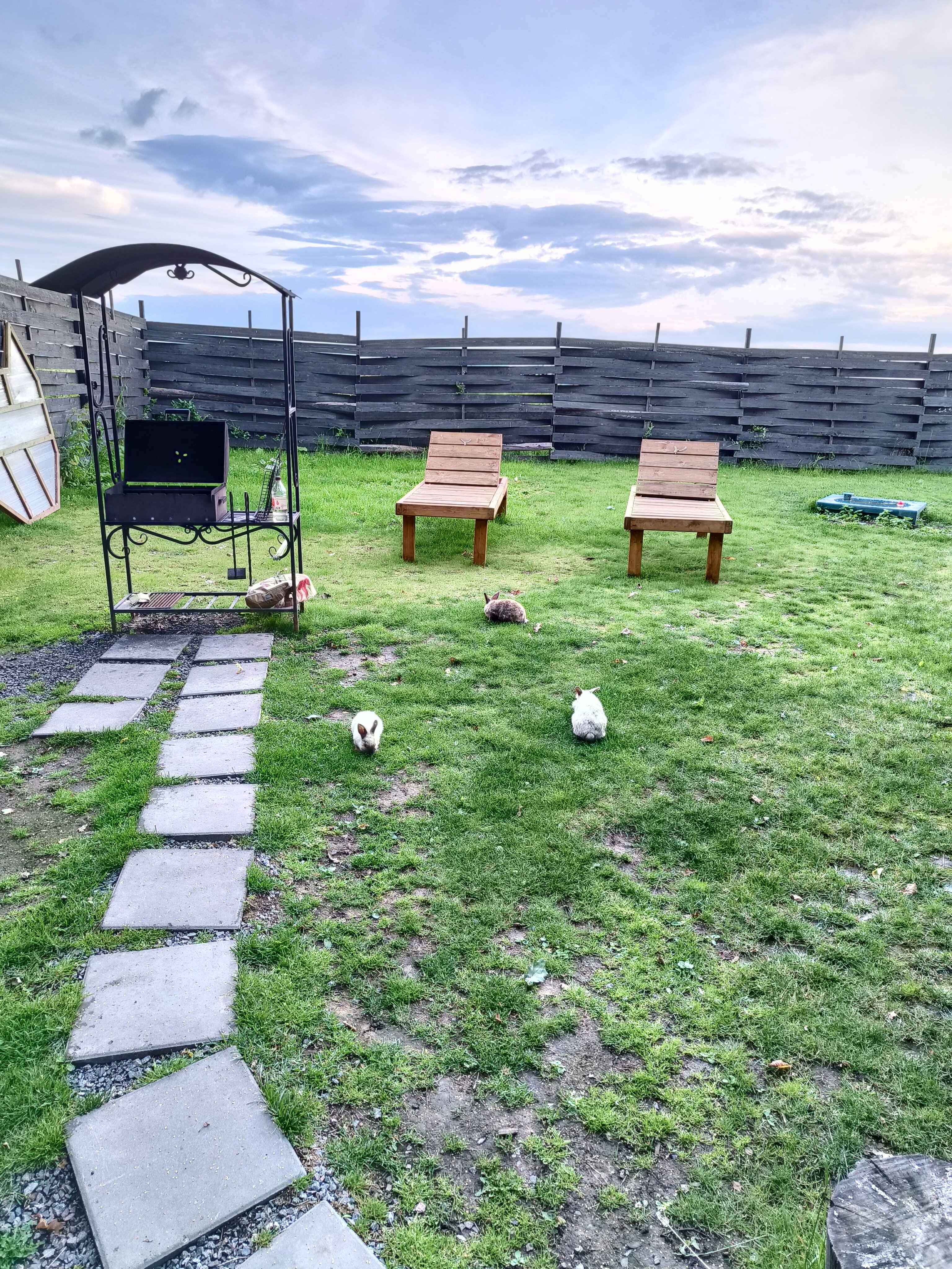 Фото Жёлуди