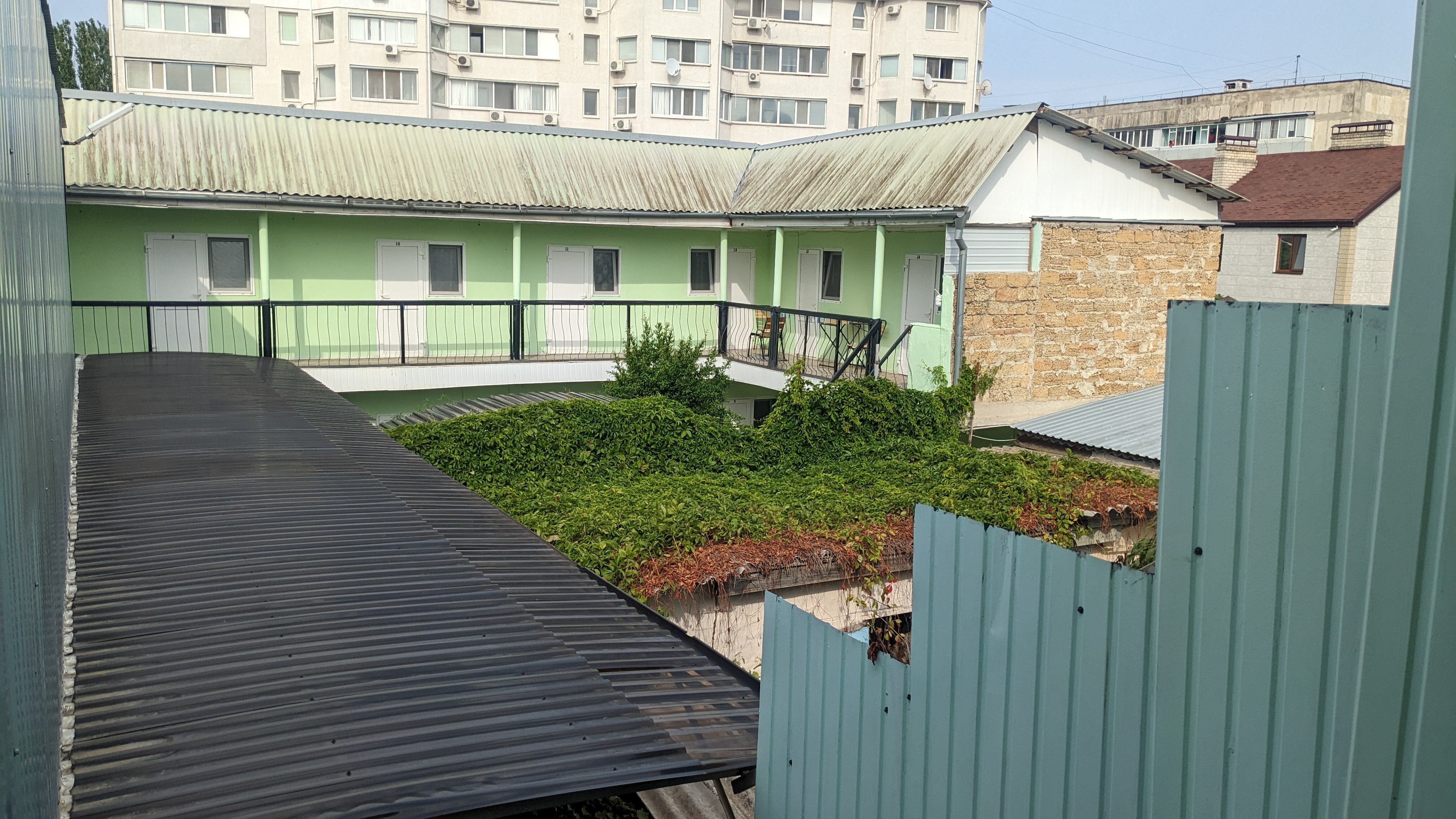 Фото Сильвия