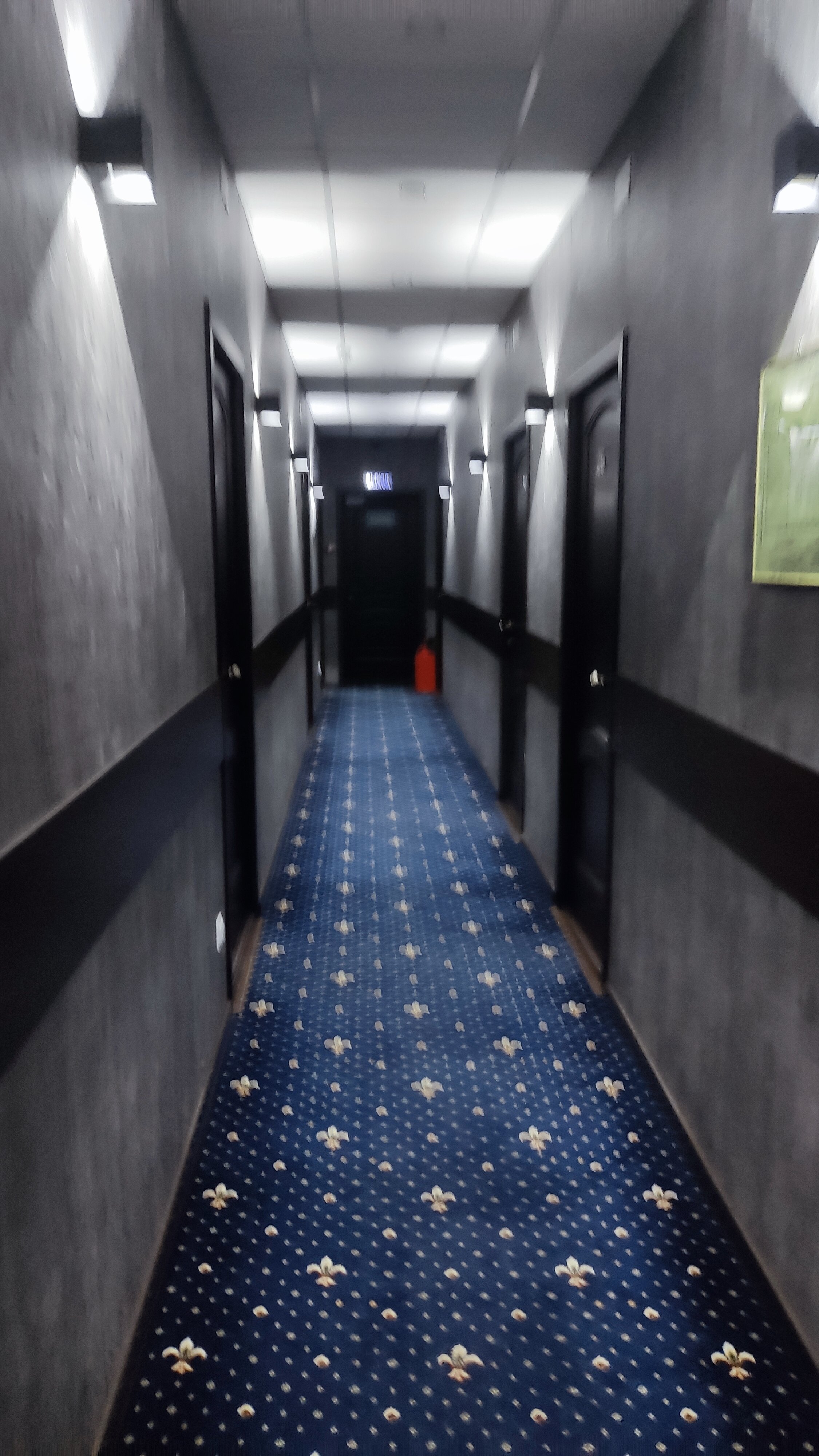 Фото Янушка