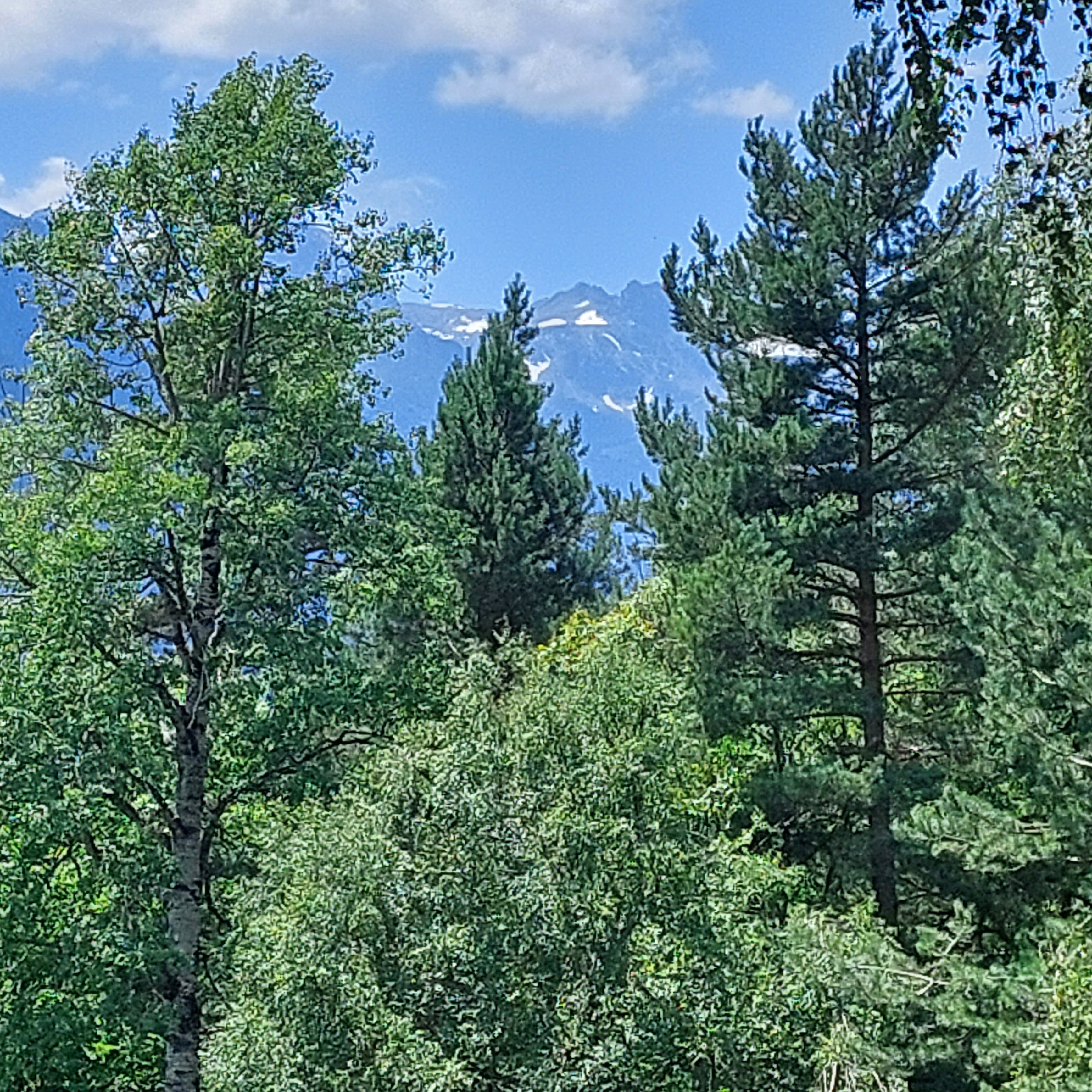 Фото Архызские вершины