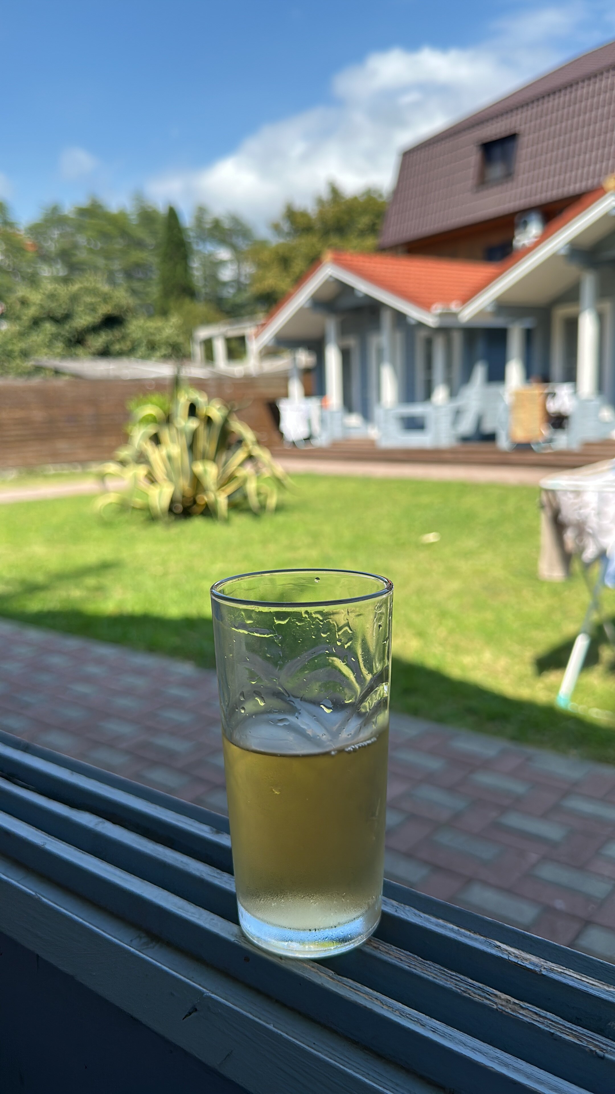 Фото 25448628356