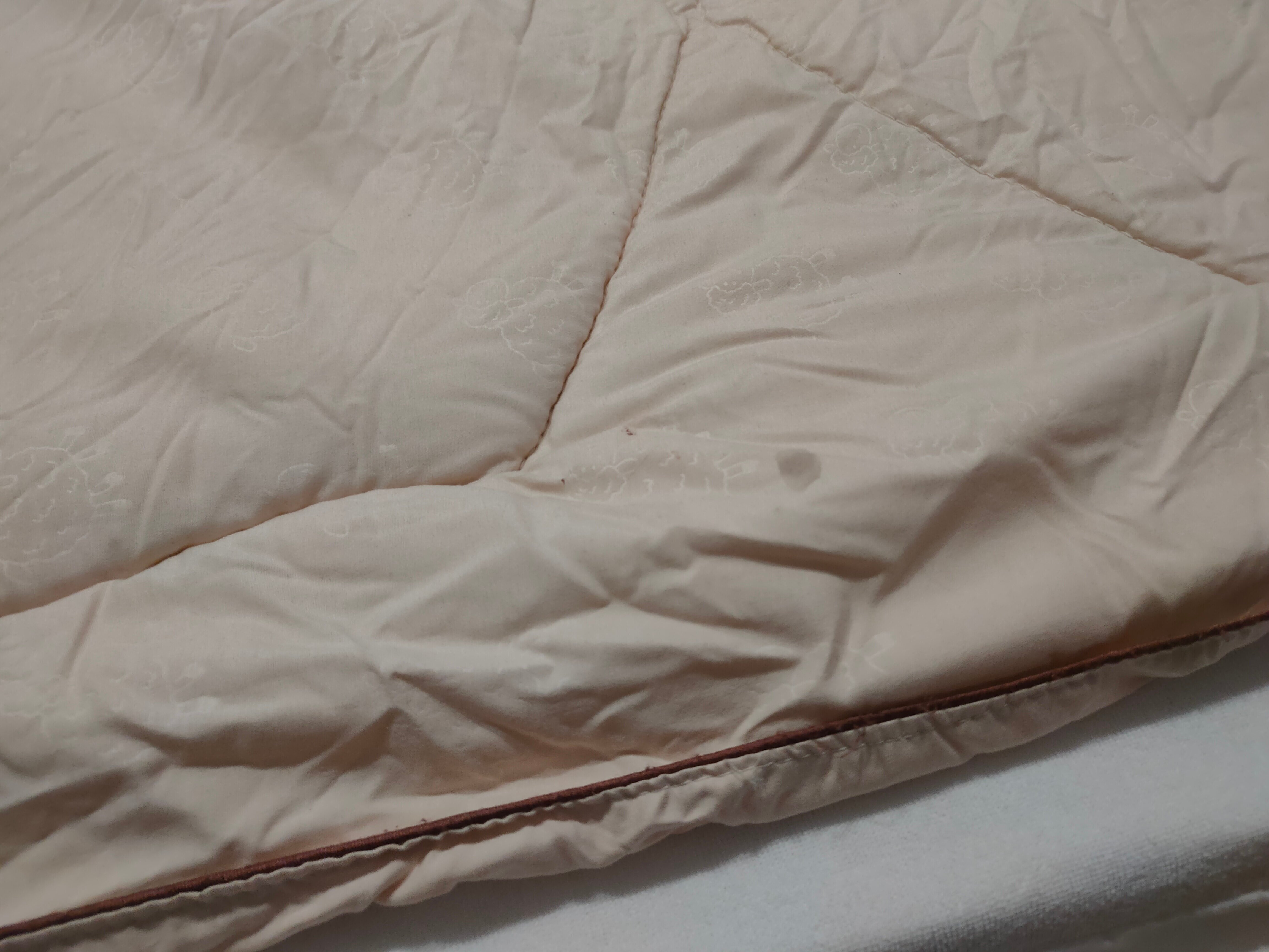 Фото Белые росы