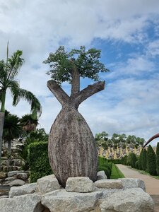 Observation deck (Chon Buri, Nong Nuch), observation deck