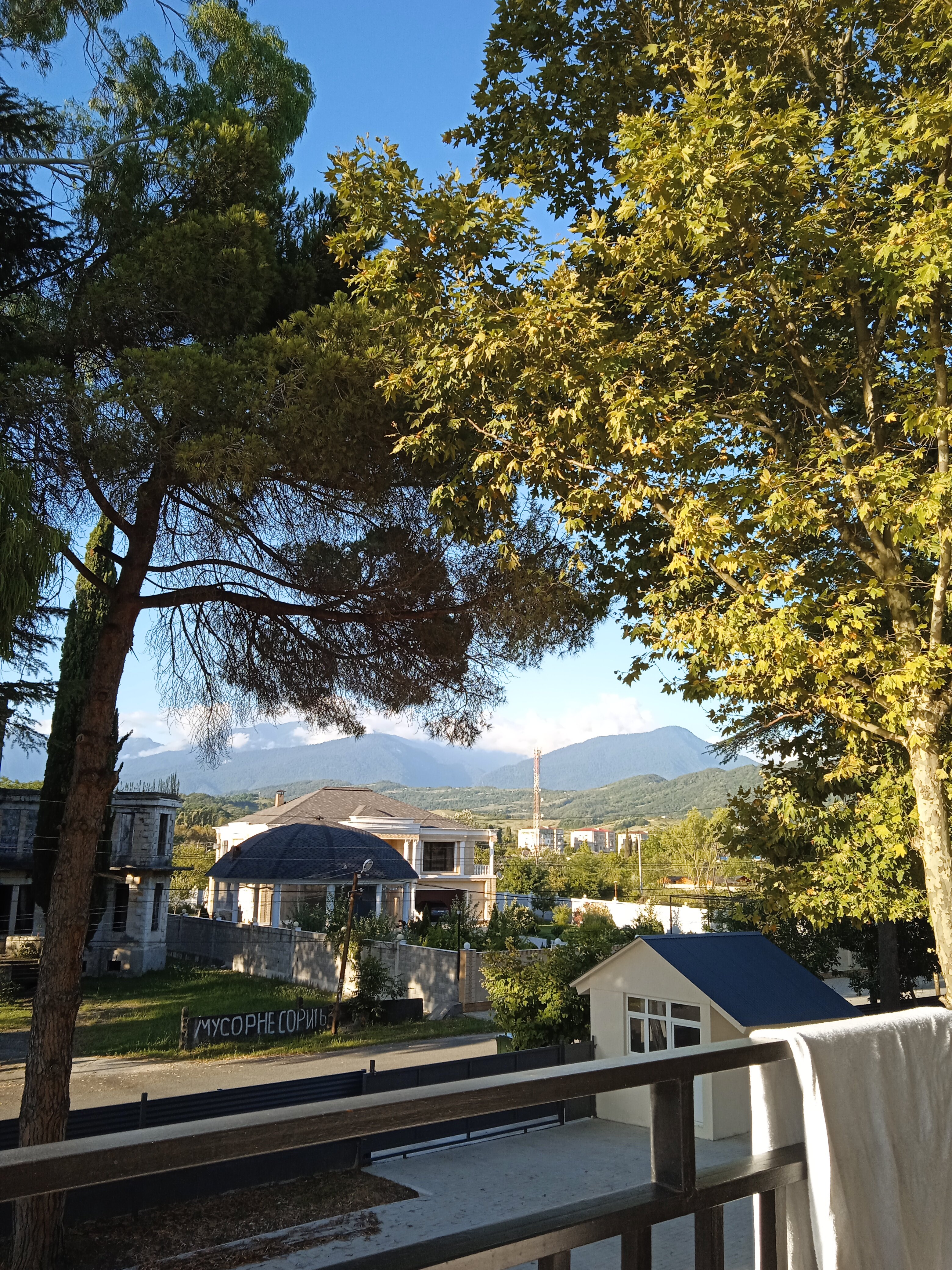 Фото Шоколад