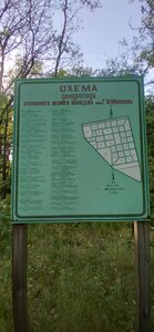 Дендрарий (Voronezh Region, Bobrovskiy rayon, Slobodskoye selskoye poseleniye, selo Sloboda), landmark, attraction