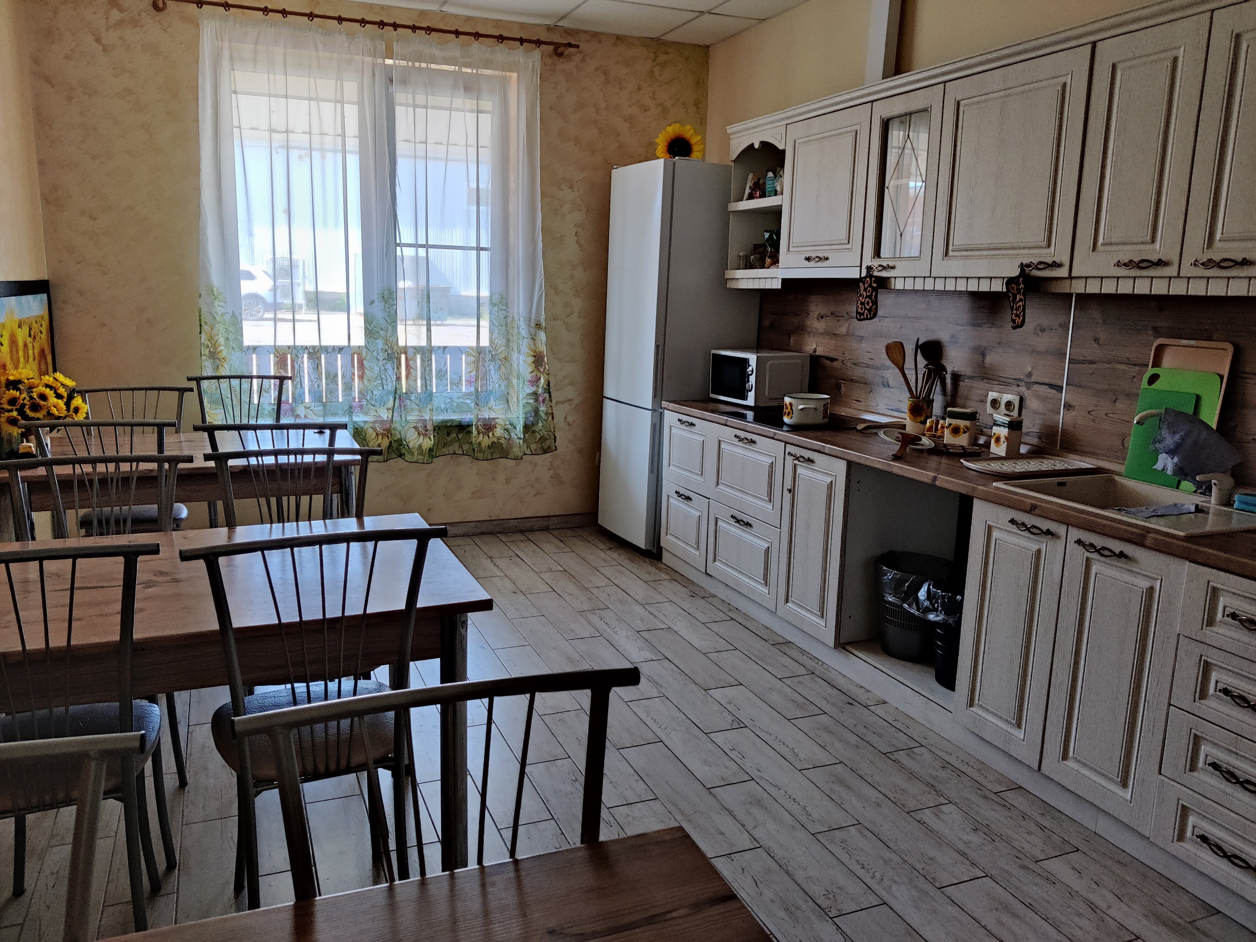 Фото Подсолнух