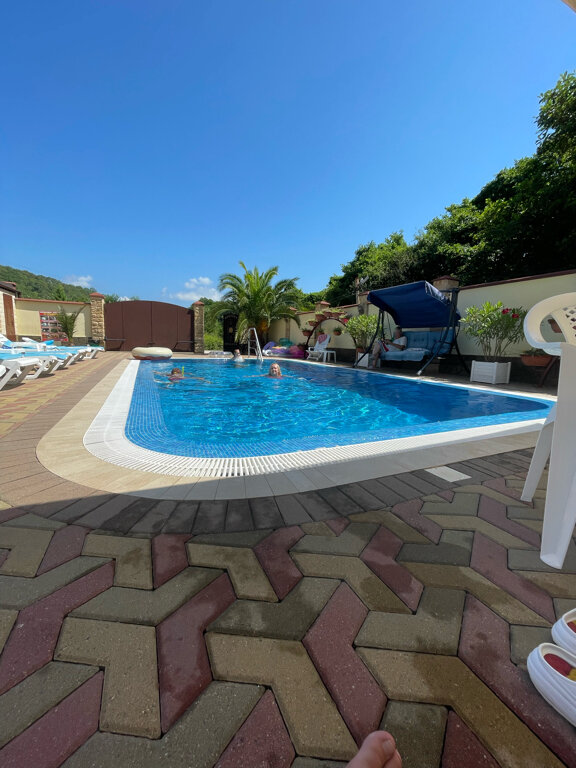 Фото Золотой Лев