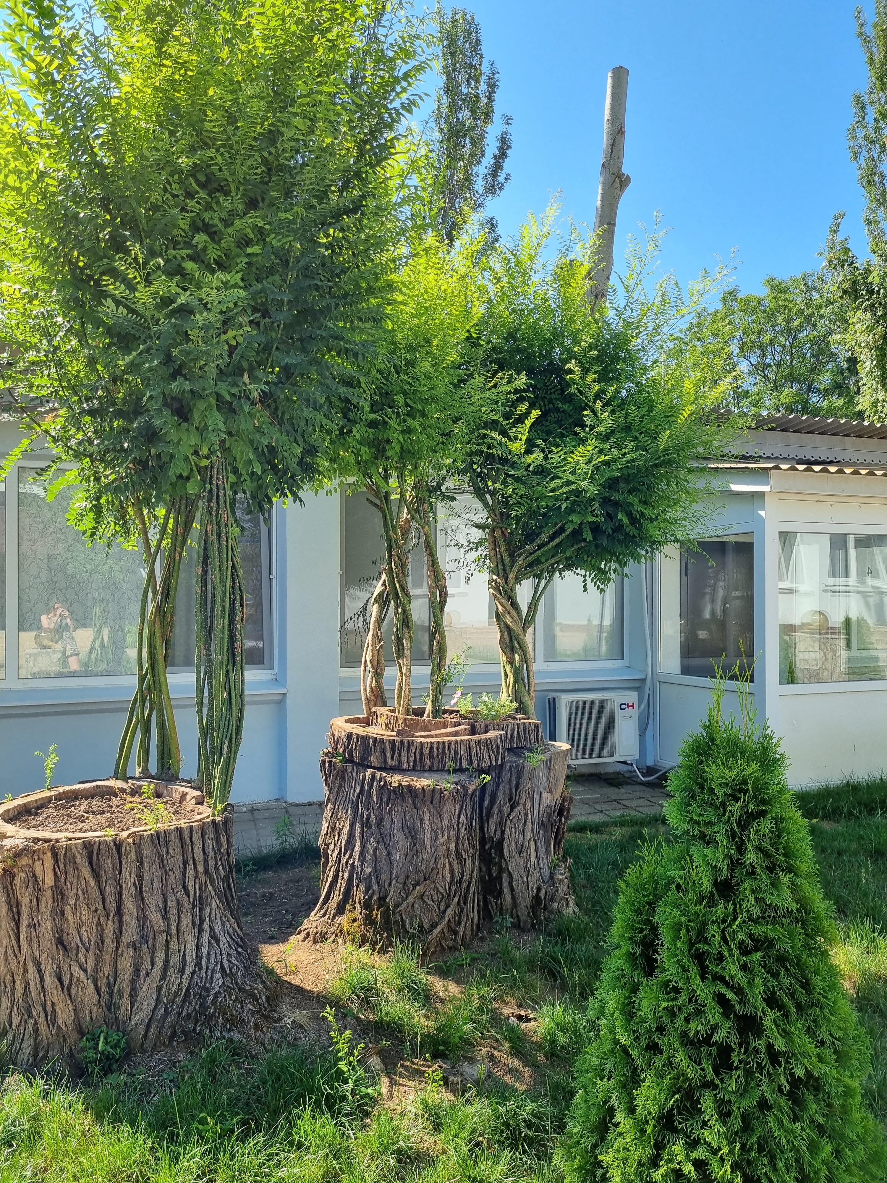 Фото Два моря