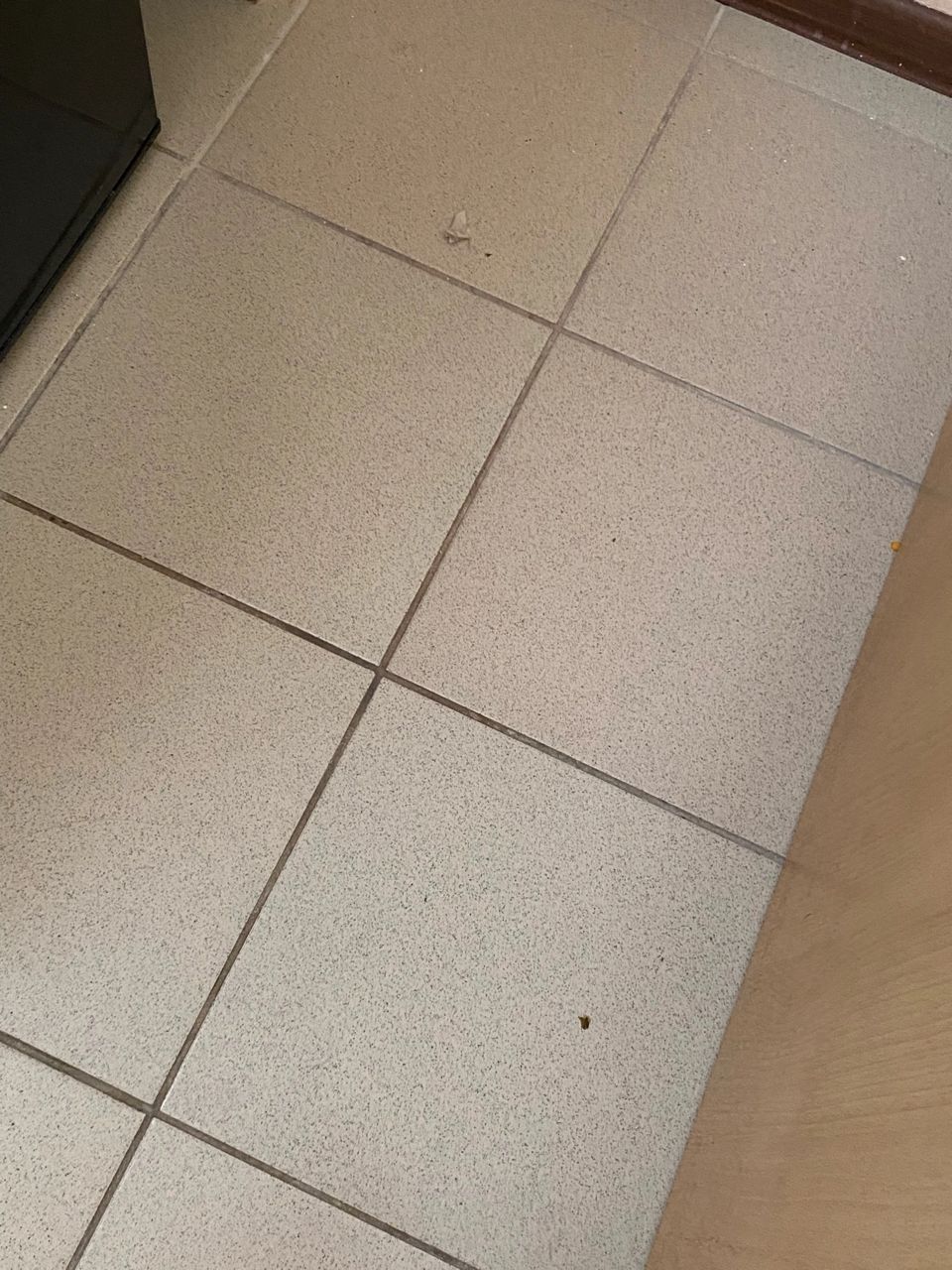 Фото Лесная Сказка Resort Inn