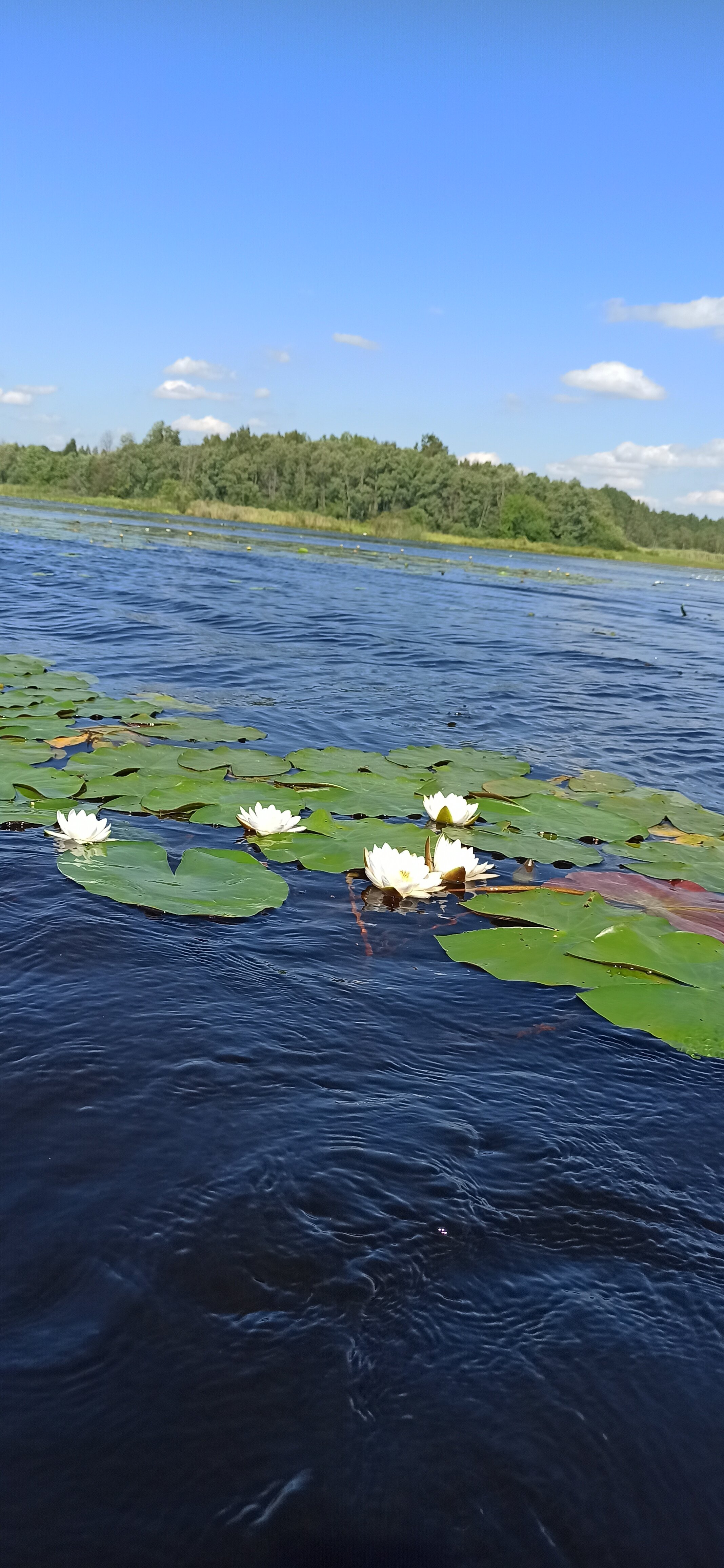 Фото Бологое Дом