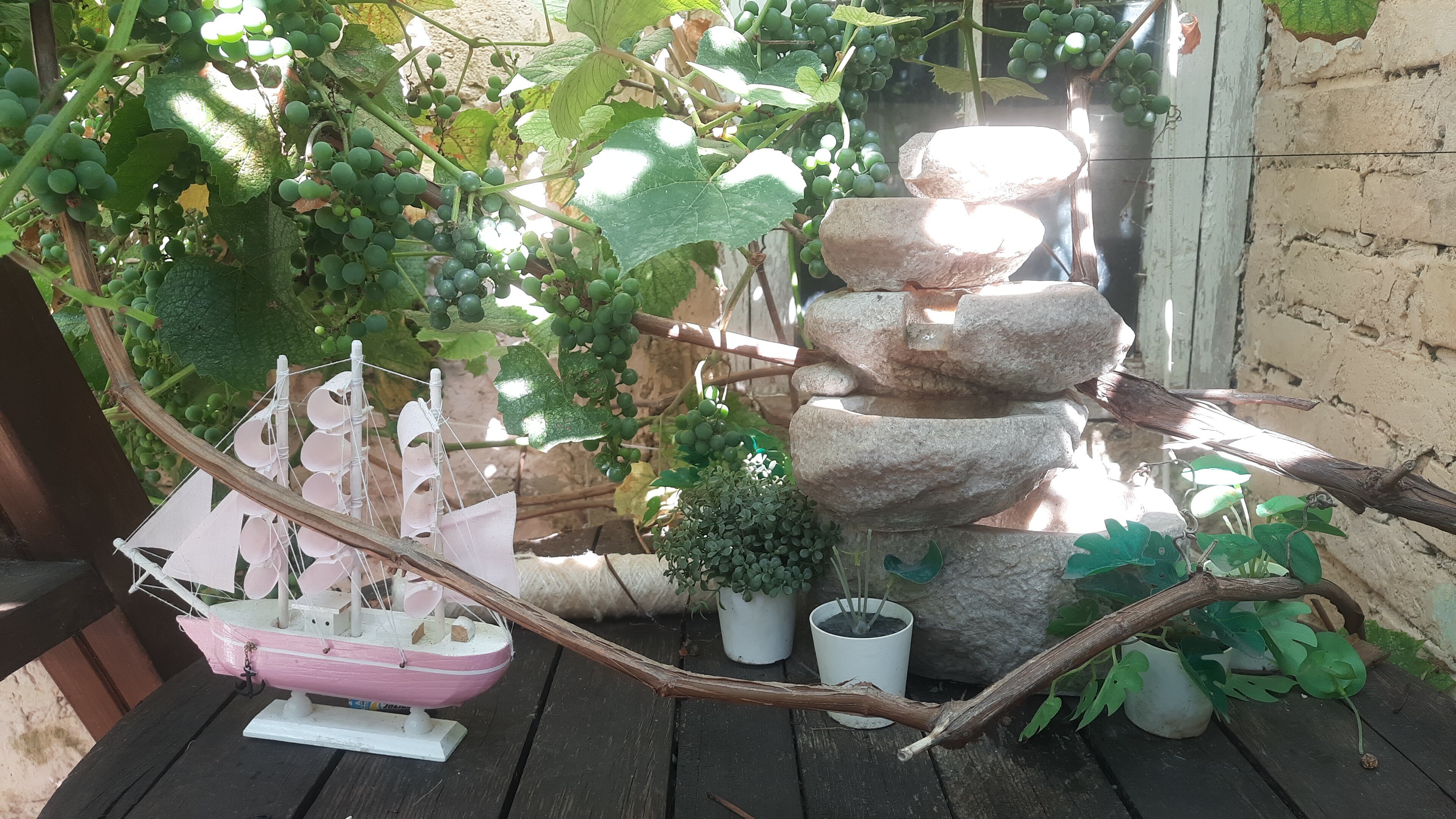 Фото ЭдиРоз