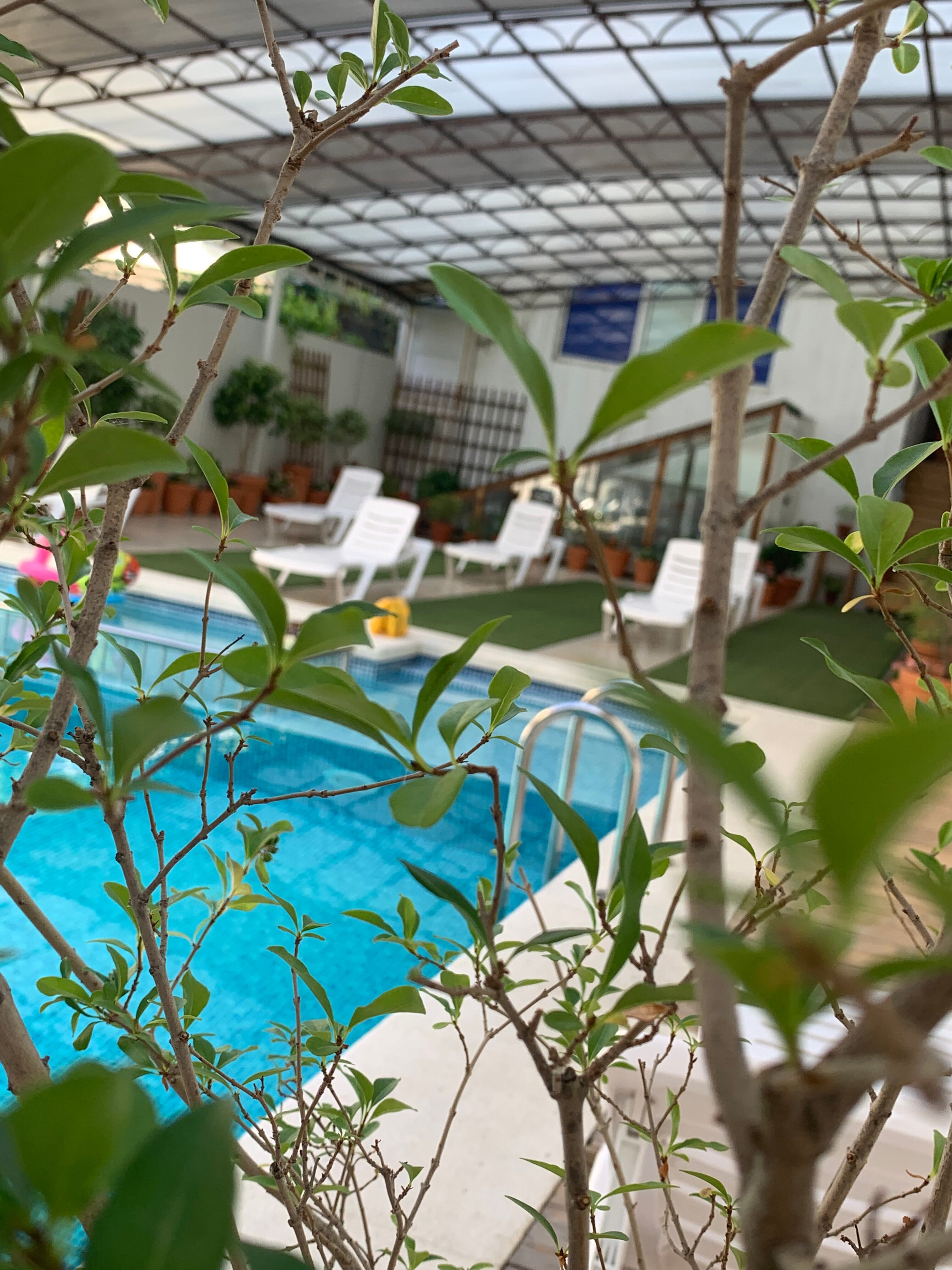 Фото Гармония