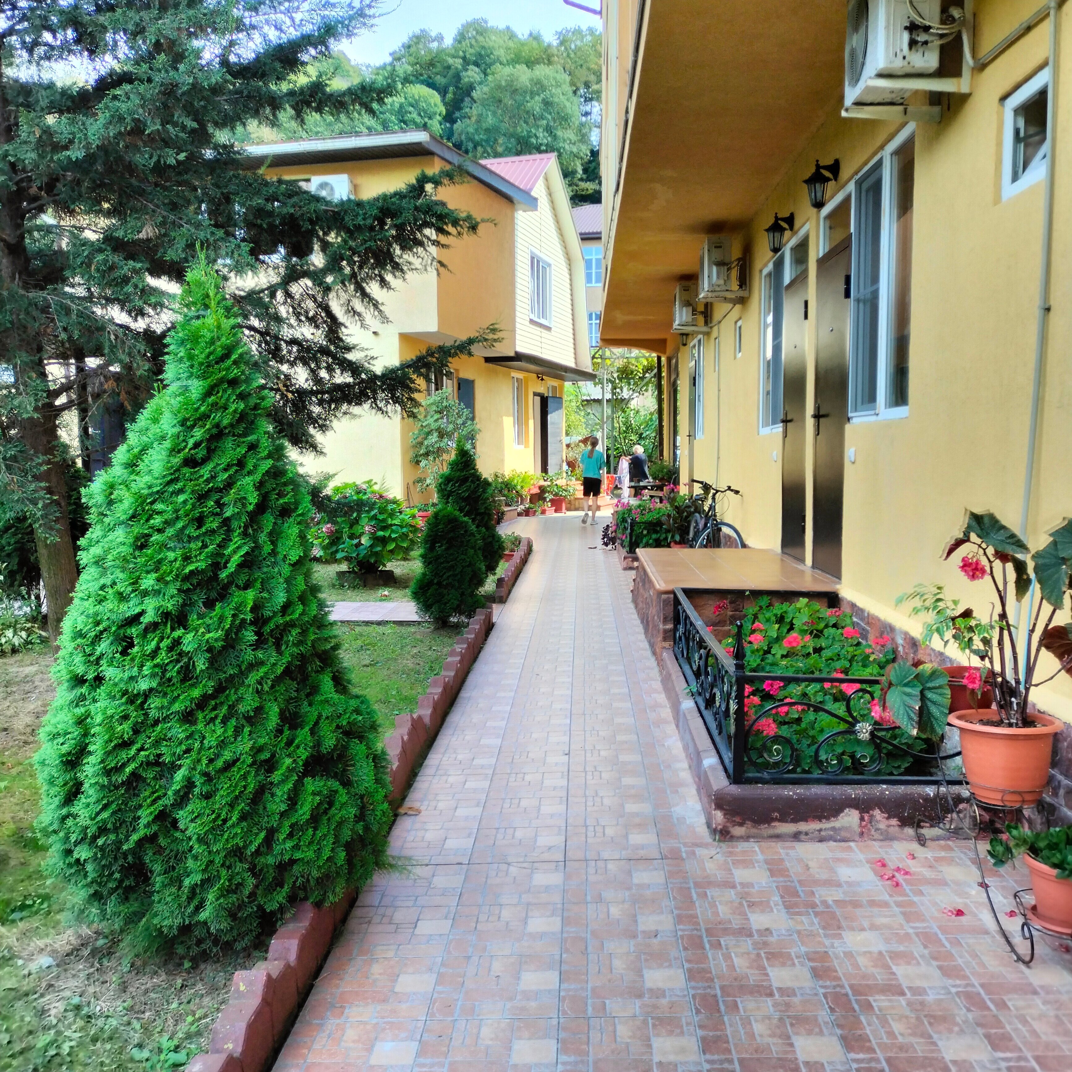 Фото Dream House