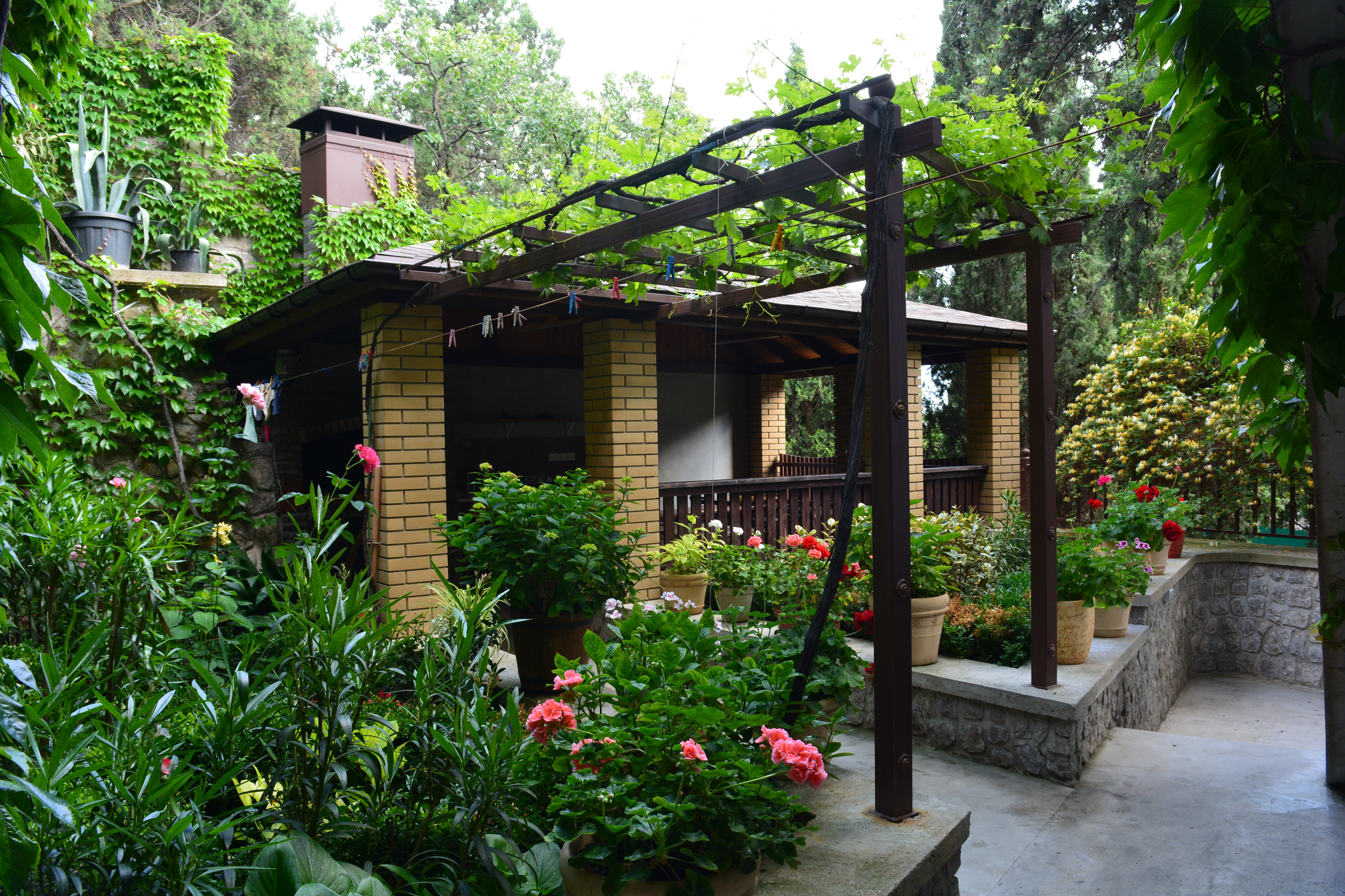 Фото Симеиз тур