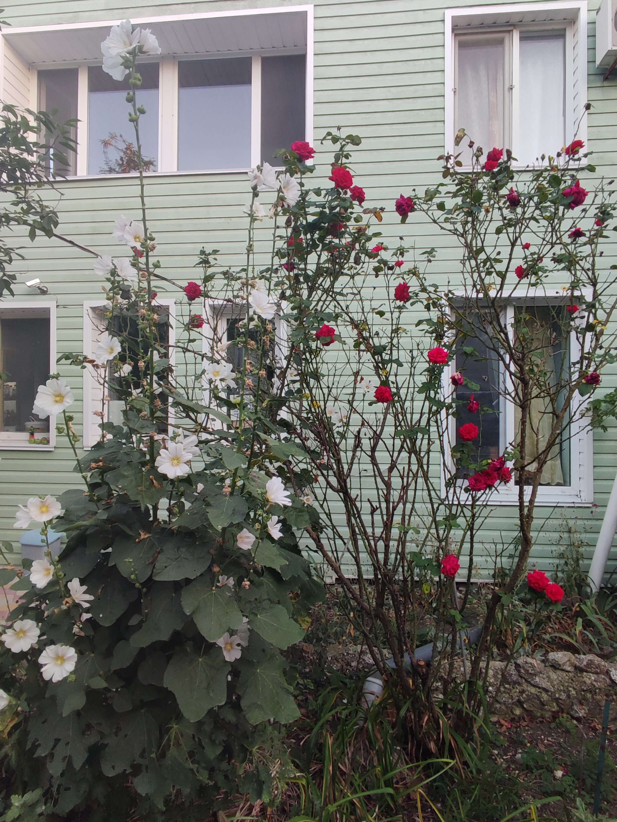 Фото Приморский 1