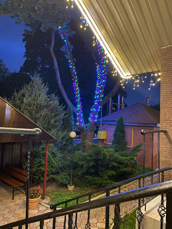 Фото Грин Стар